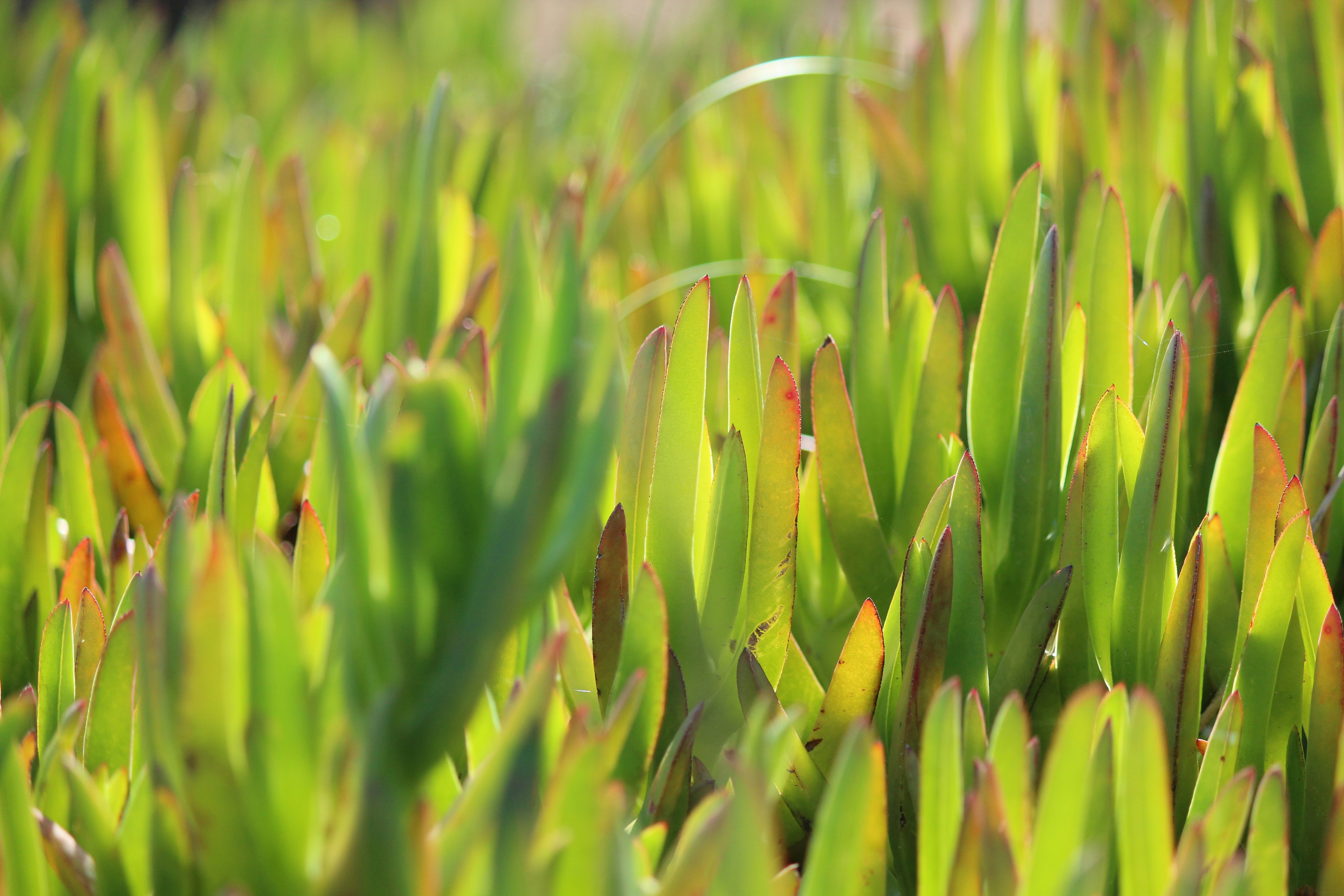 Photo by elmountassir1