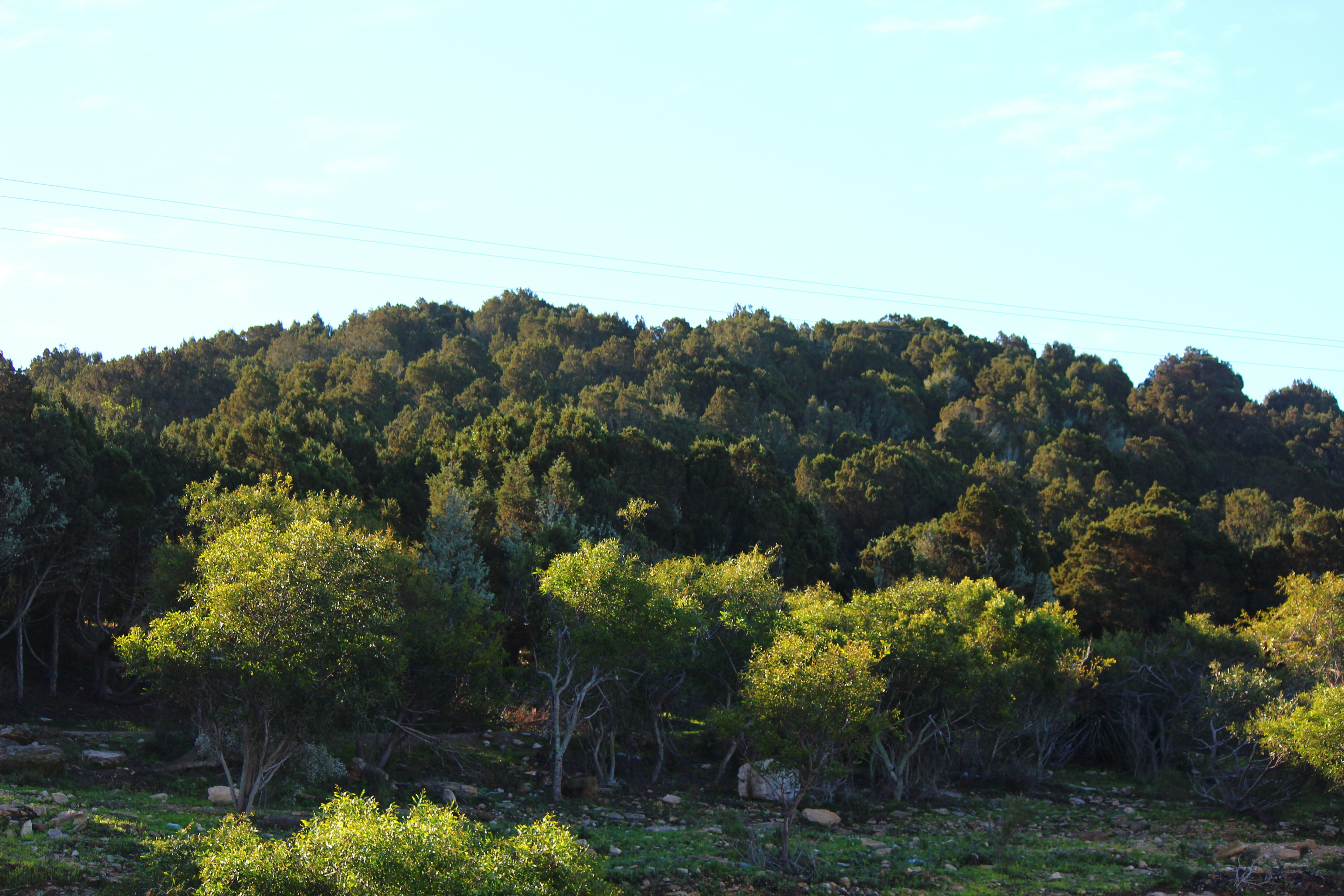 Photo by elmountassir1