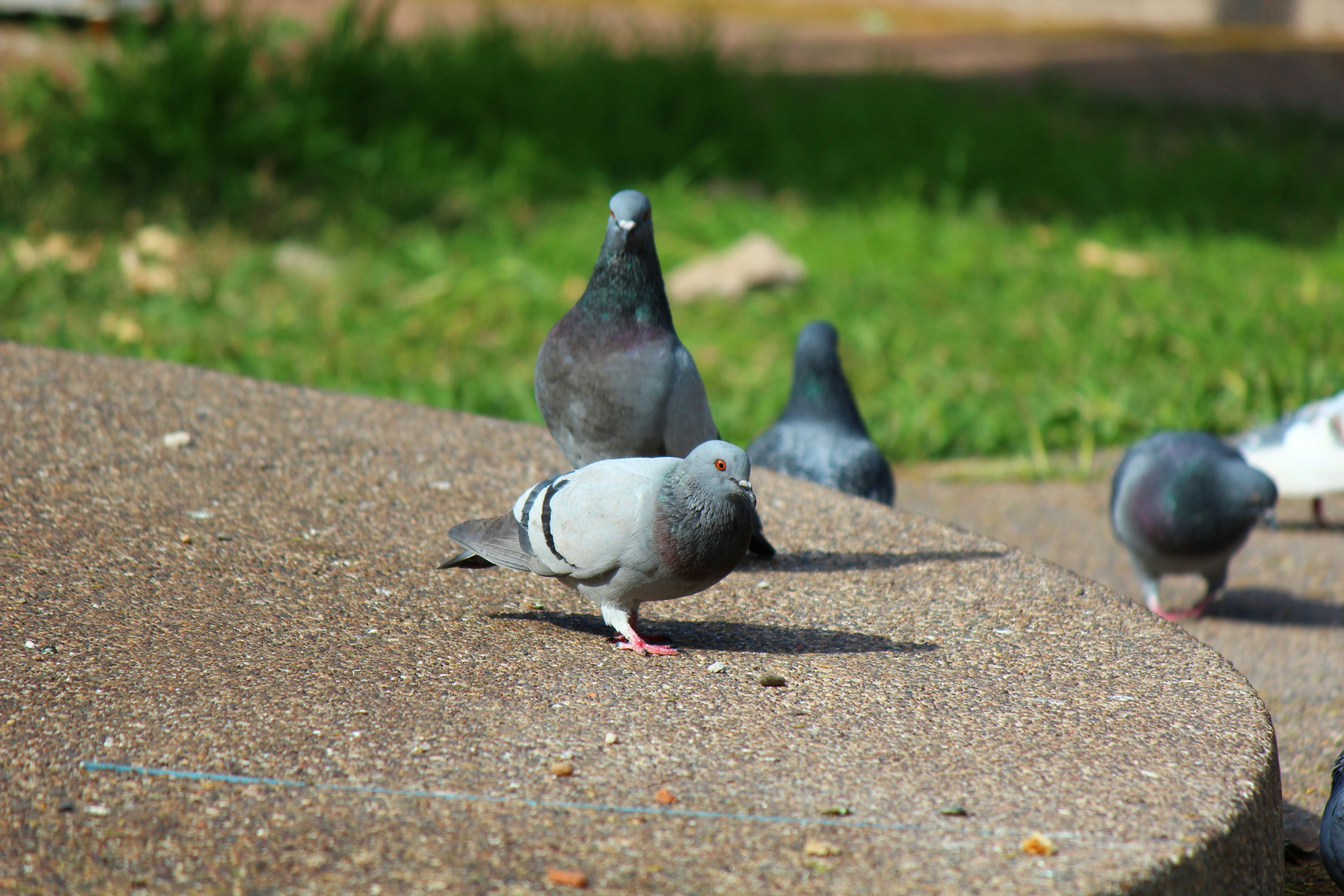 Photo by elmountassir1