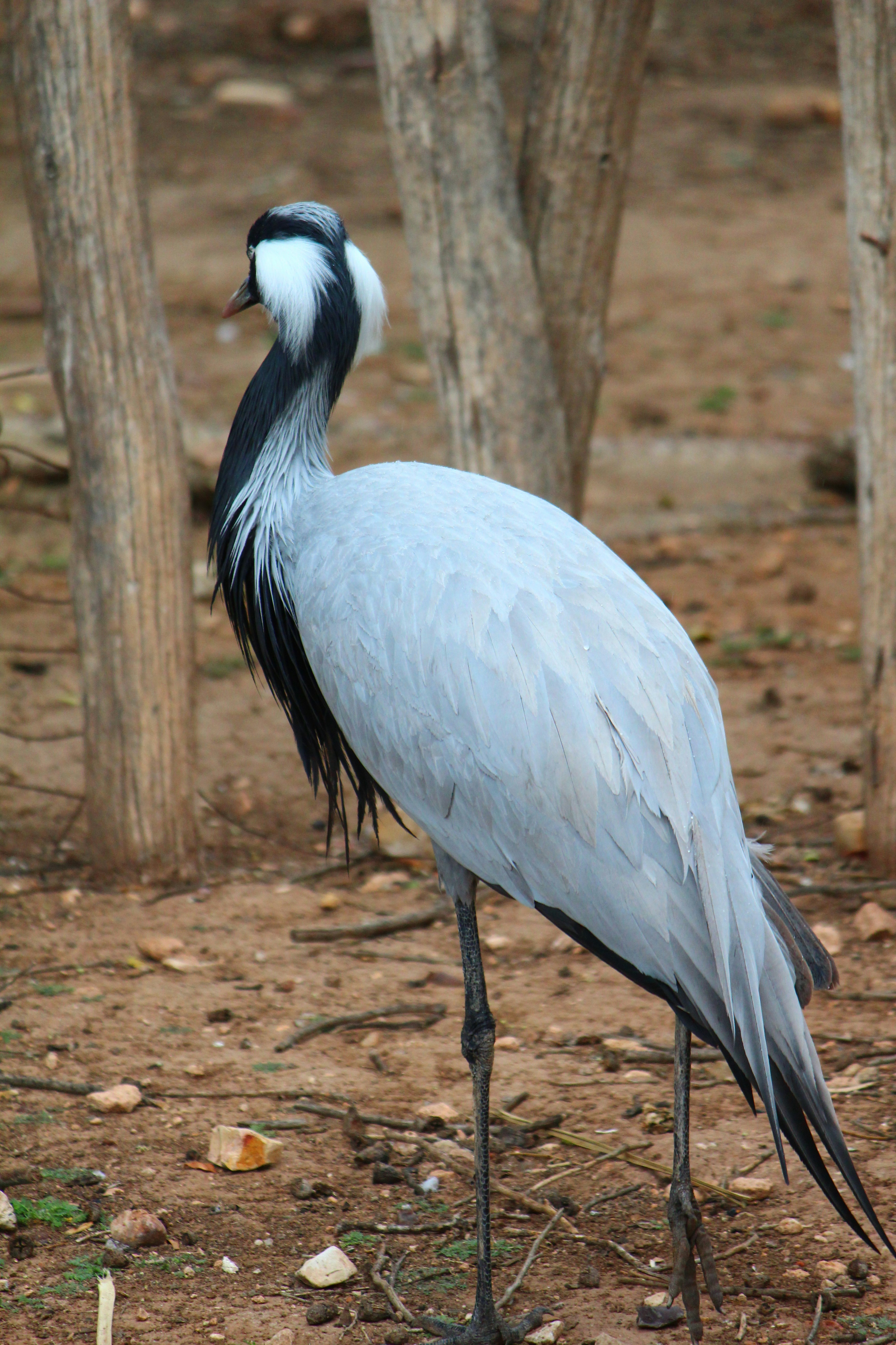 Photo by elmountassir1