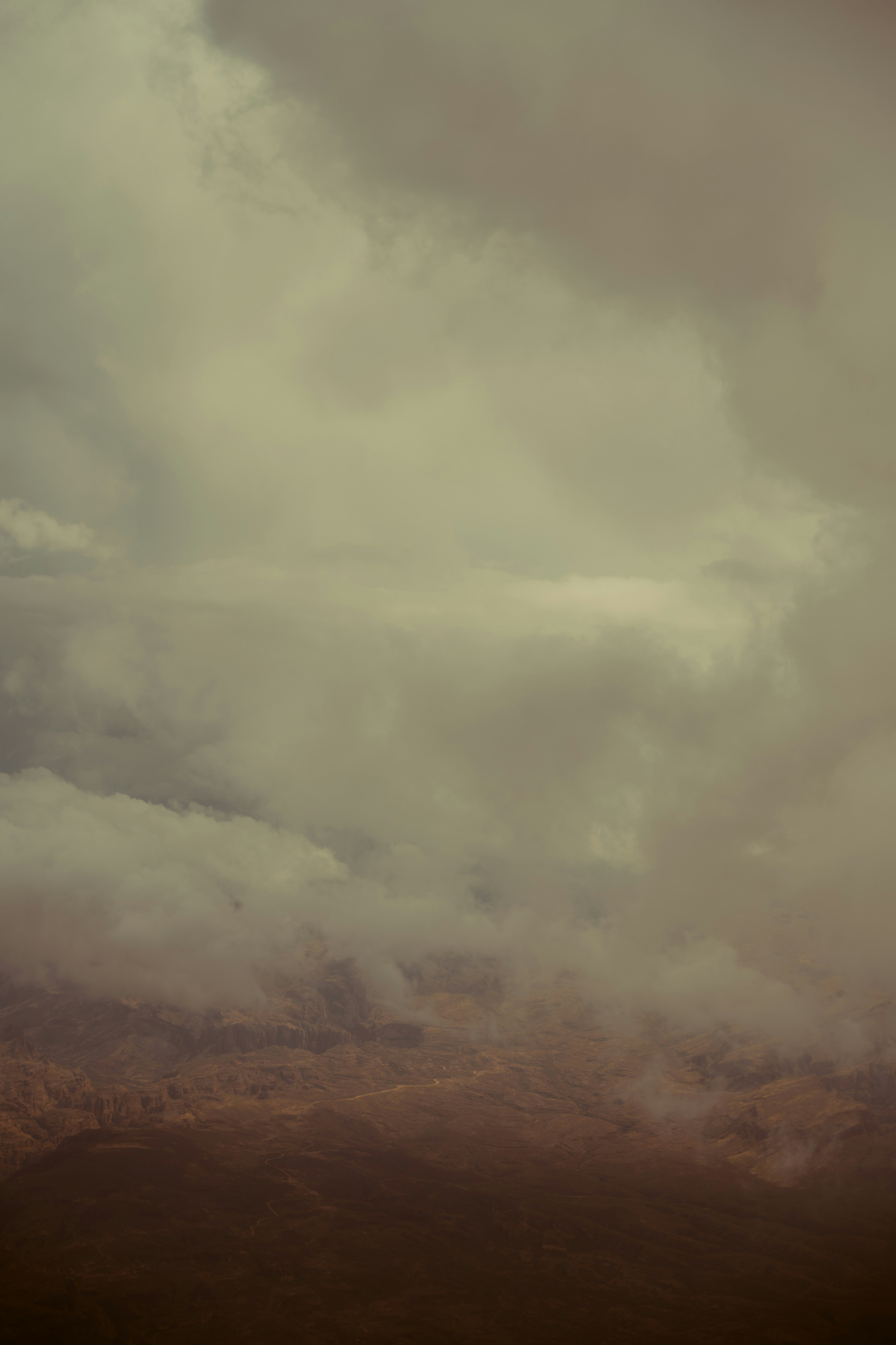 Photo by onthesearchforpineapples