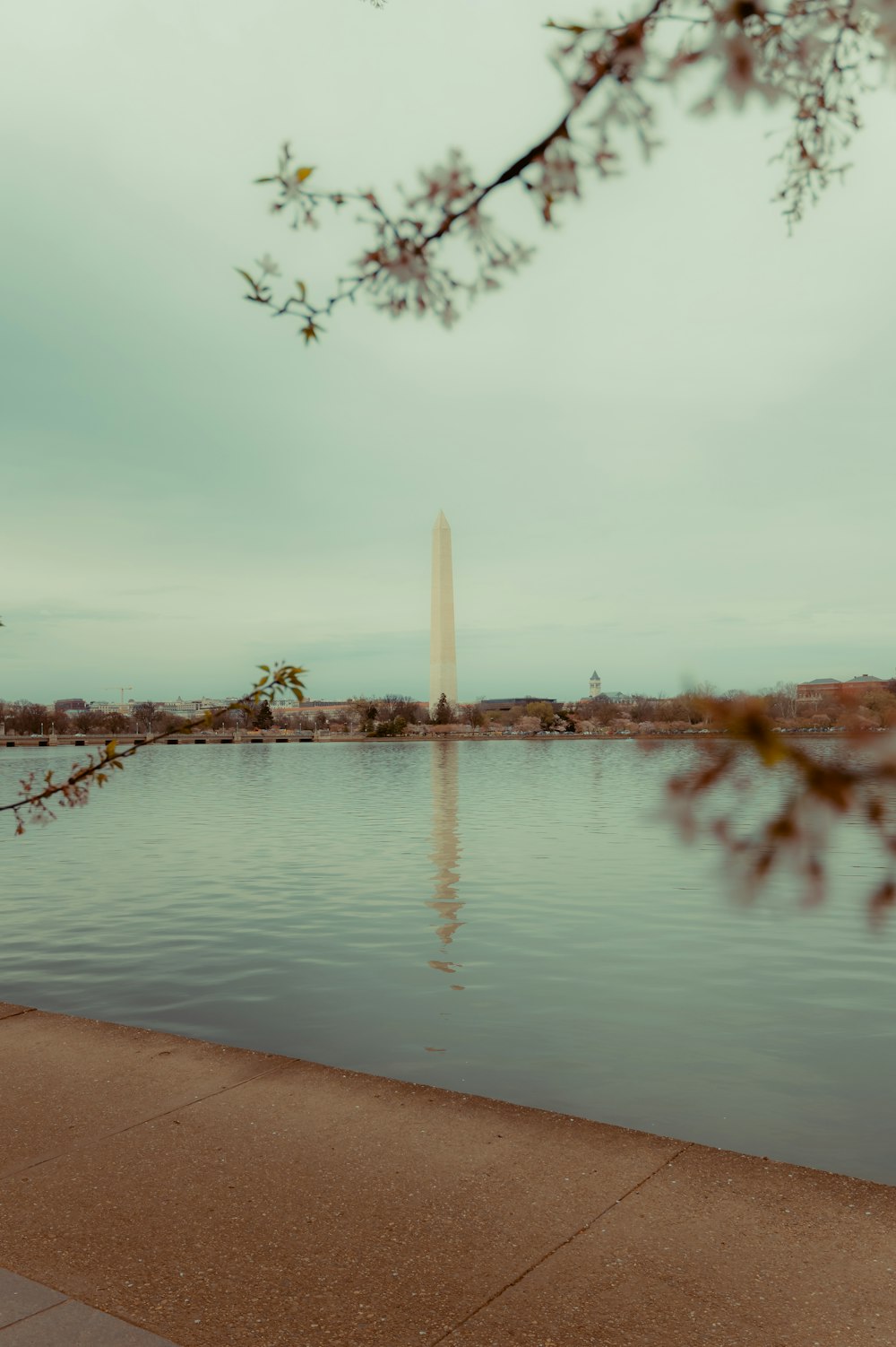 a view of the washington monument from across the water