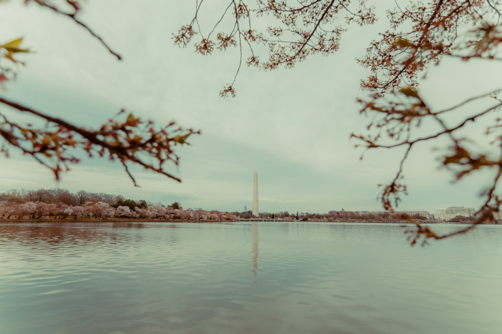 a large body of water surrounded by trees