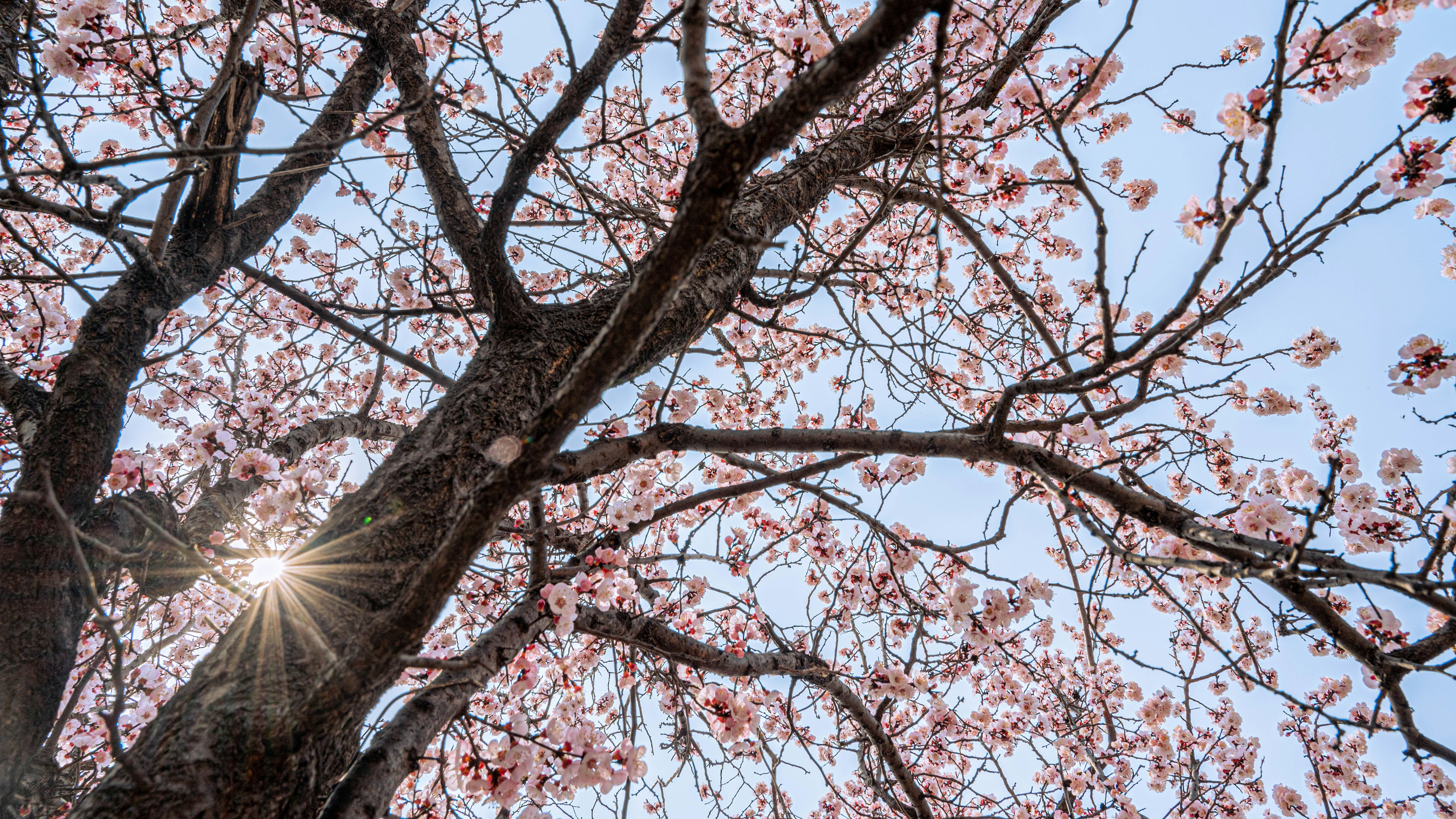 Photo by peek_a_boo_who