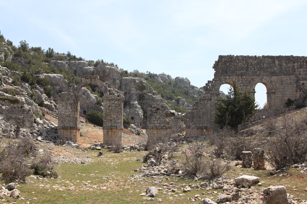 the ruins of the ancient city of ephesia