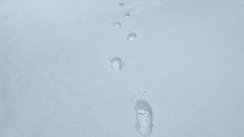 a pair of footprints are seen in the snow