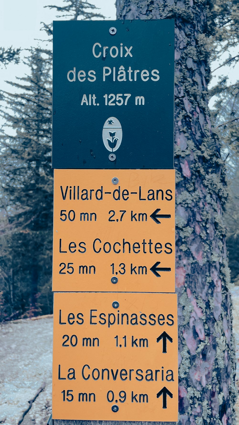 a sign is posted on a tree in the snow