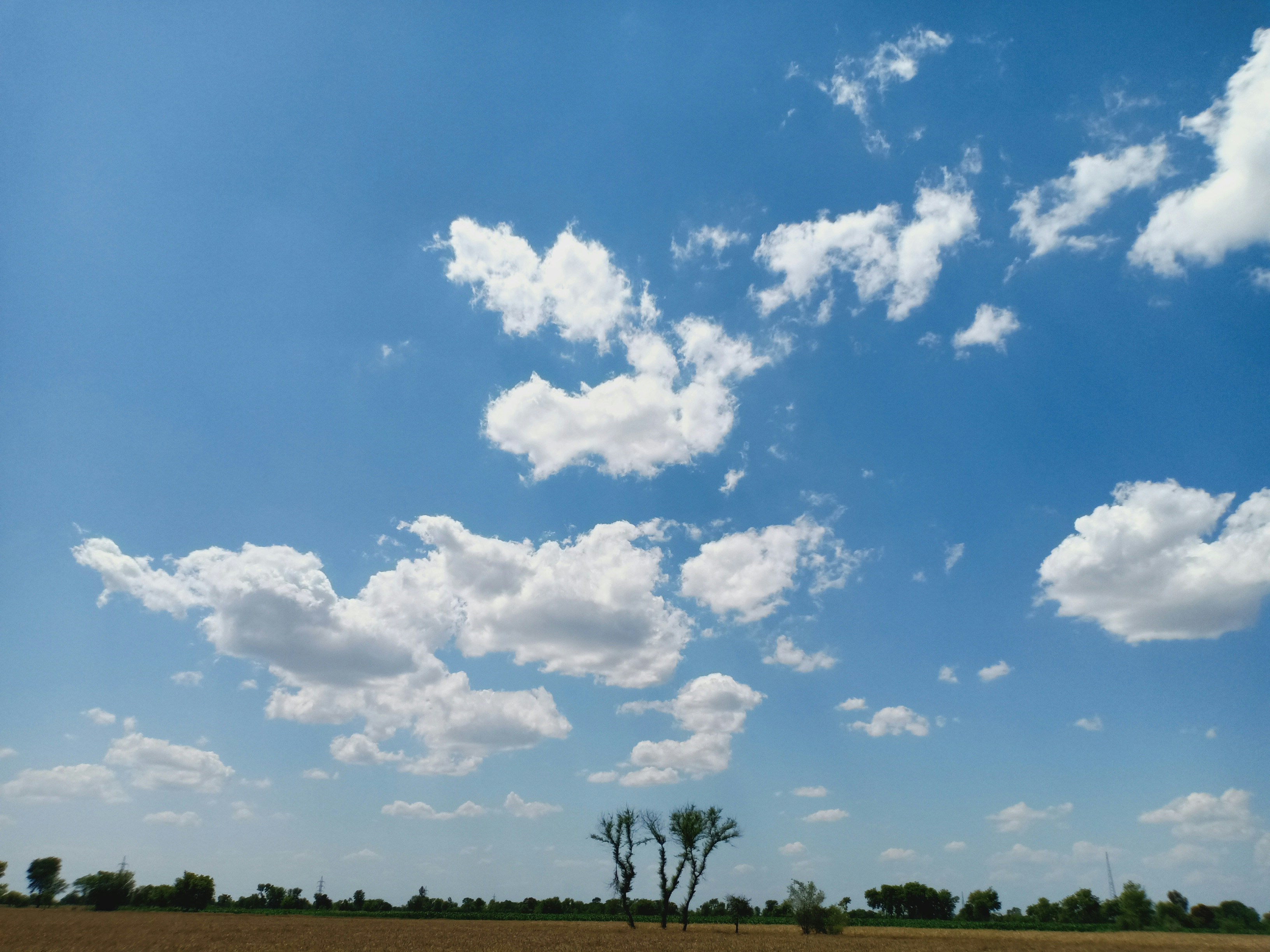 a field with trees and clouds in the sky