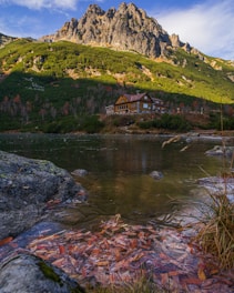 A picturesque mountain landscape features a rugged, steep peak in the background, covered in patches of green vegetation. Below, a wooden lodge or cabin is nestled amidst a lush, forested area. In the foreground, a serene body of water reflects the surrounding scenery and is partially covered by a layer of autumn leaves. Large rocks and tufts of grass line the water's edge.