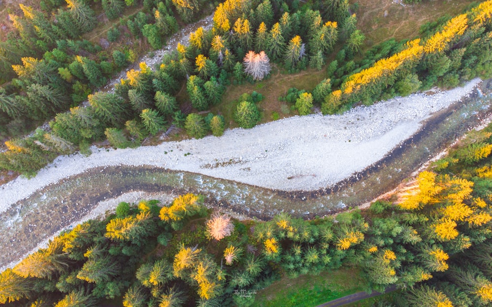 an aerial view of a river running through a forest