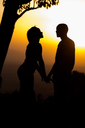 Sunset silhouette of the couple holding hands in a garden.