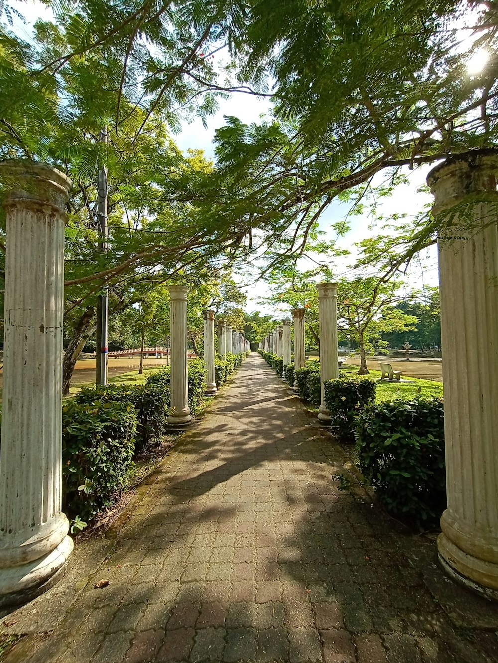 a walkway lined with trees and white pillars