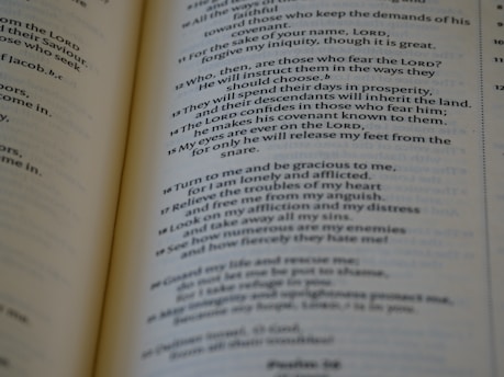 A close-up of an open book with printed text, focusing on several paragraphs organized by numbers and verses. The page appears to be from a religious or spiritual book.