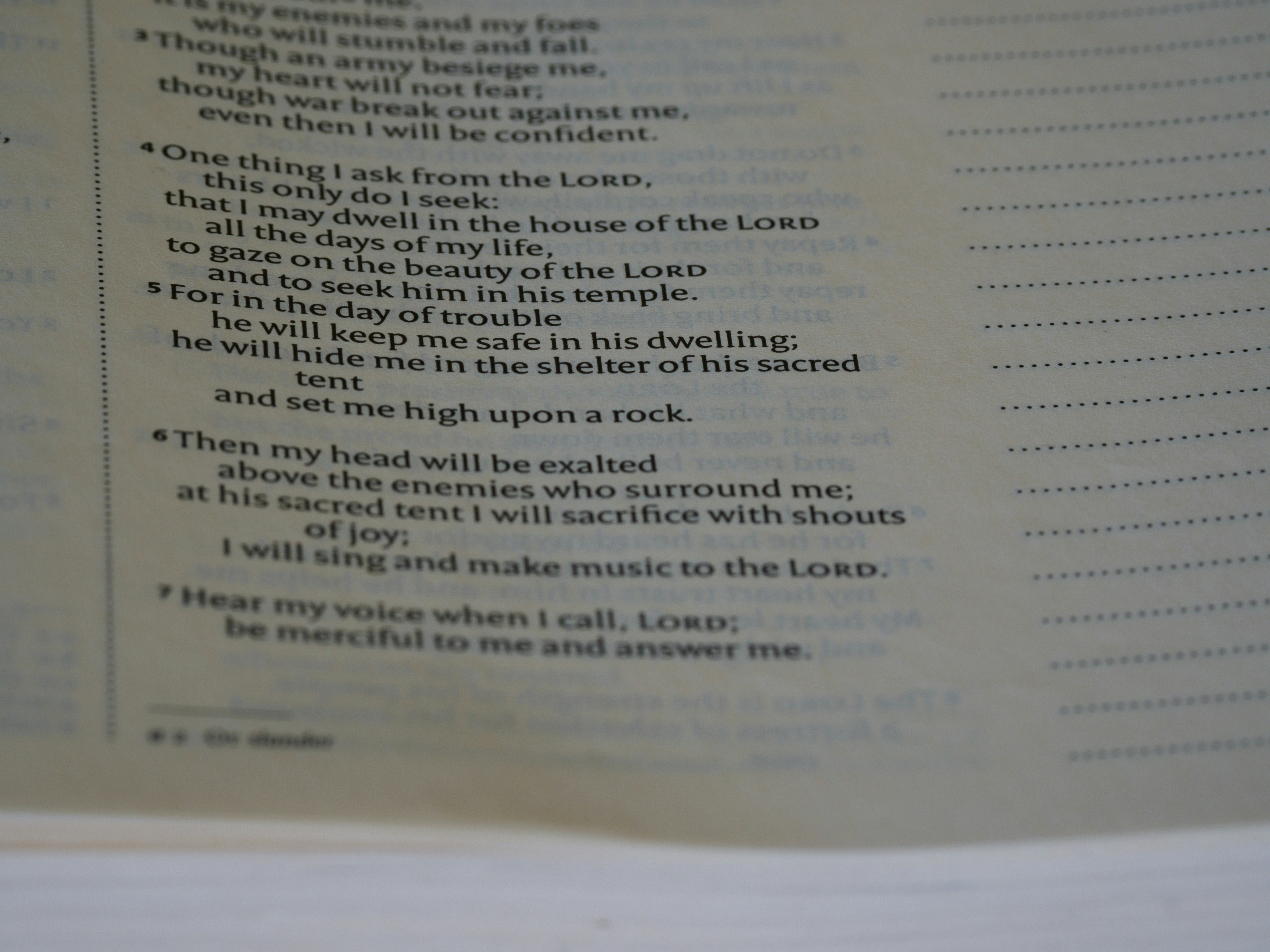 Photo by brett_jordan