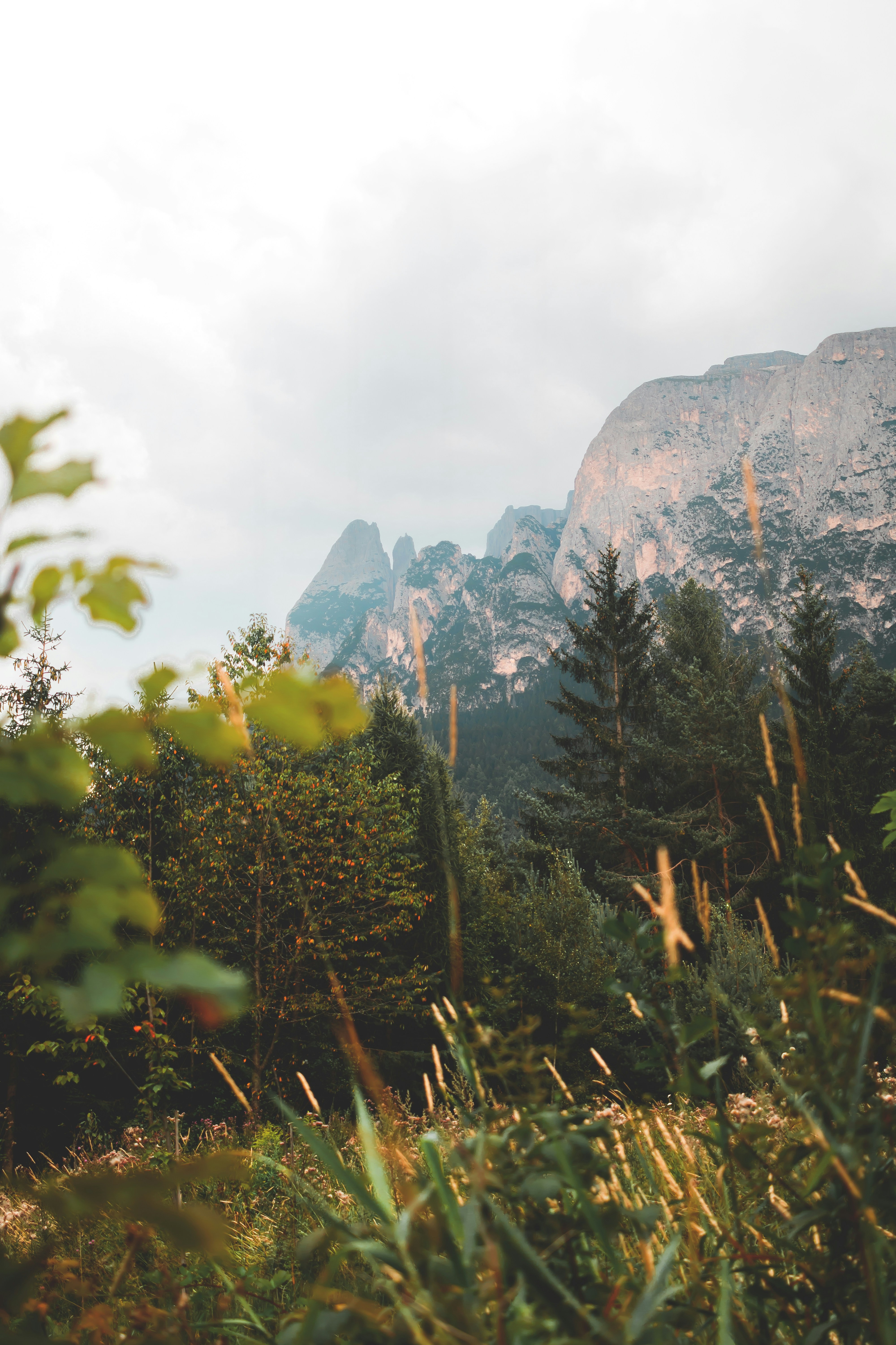 eine Bergkette mit Bäumen und Sträuchern im Vordergrund