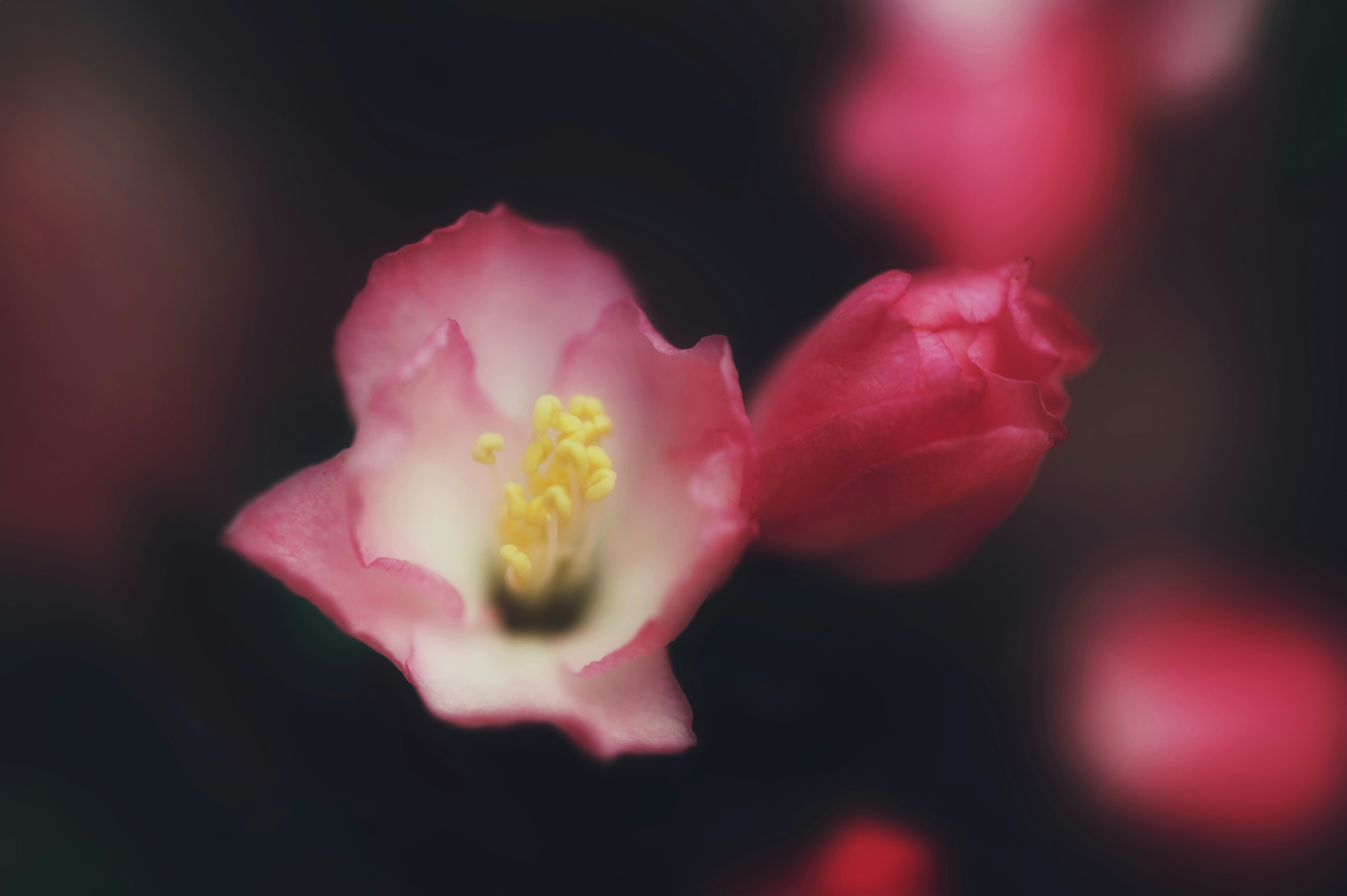 Photo by 2nd_cosmic_velocity