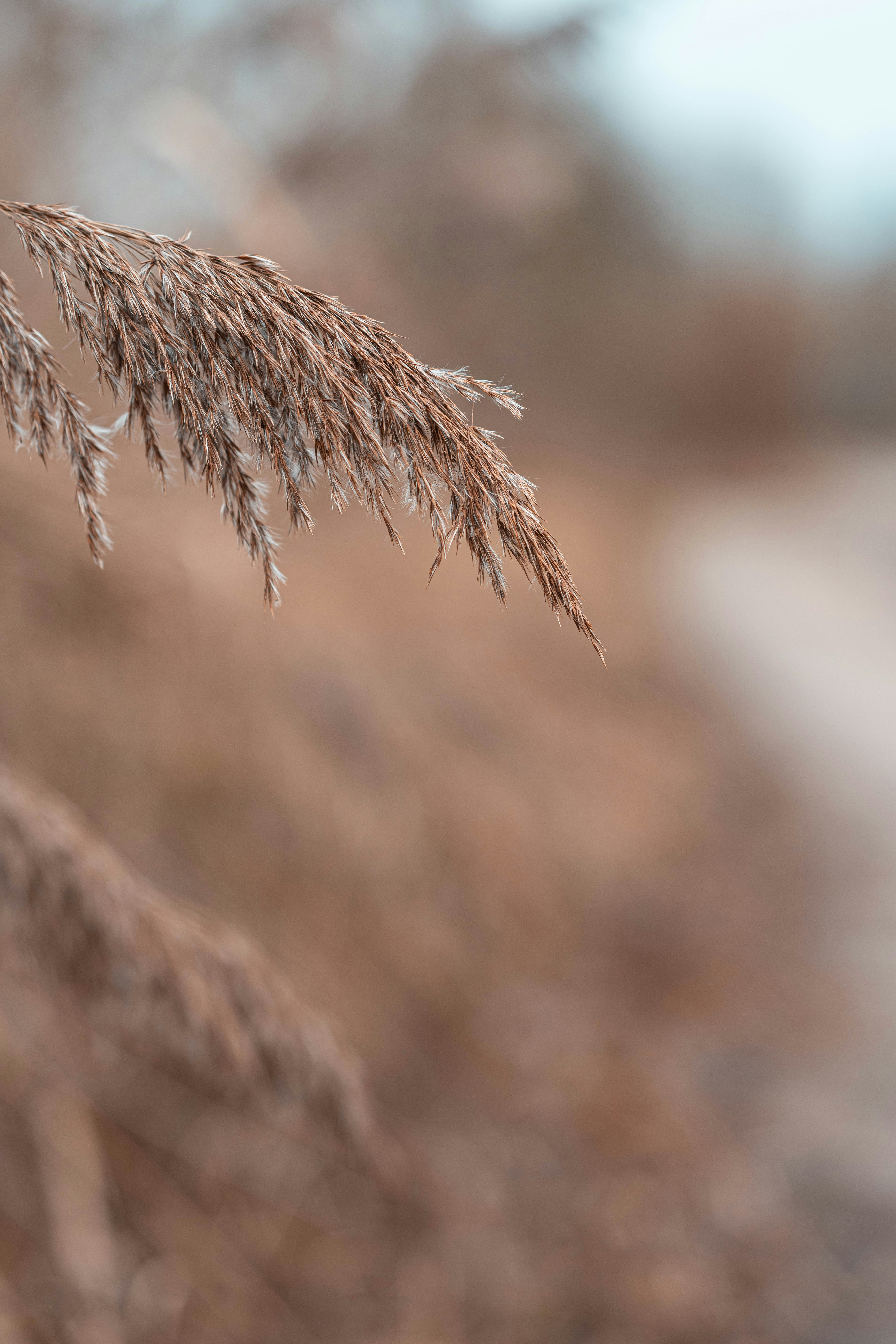 Photo by husqy_official