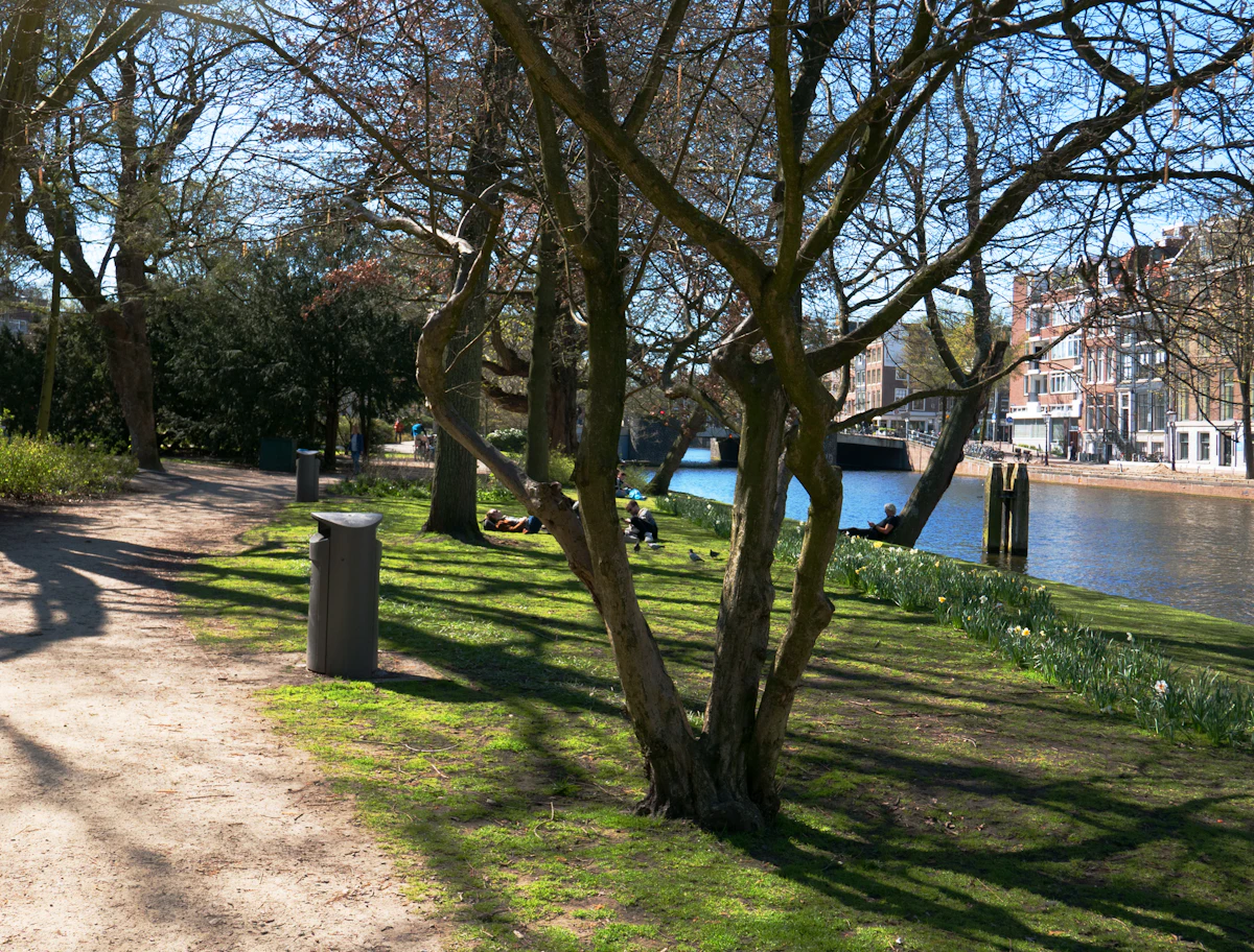 Wandelpad langs een groene oever