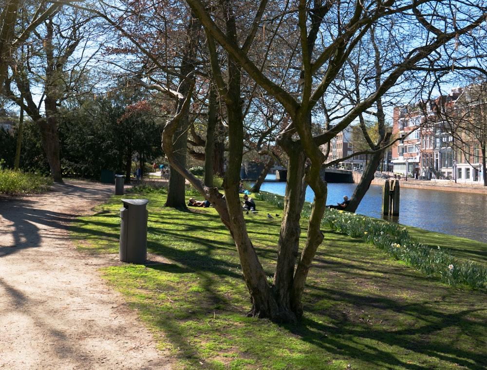 a man walking down a path next to a river