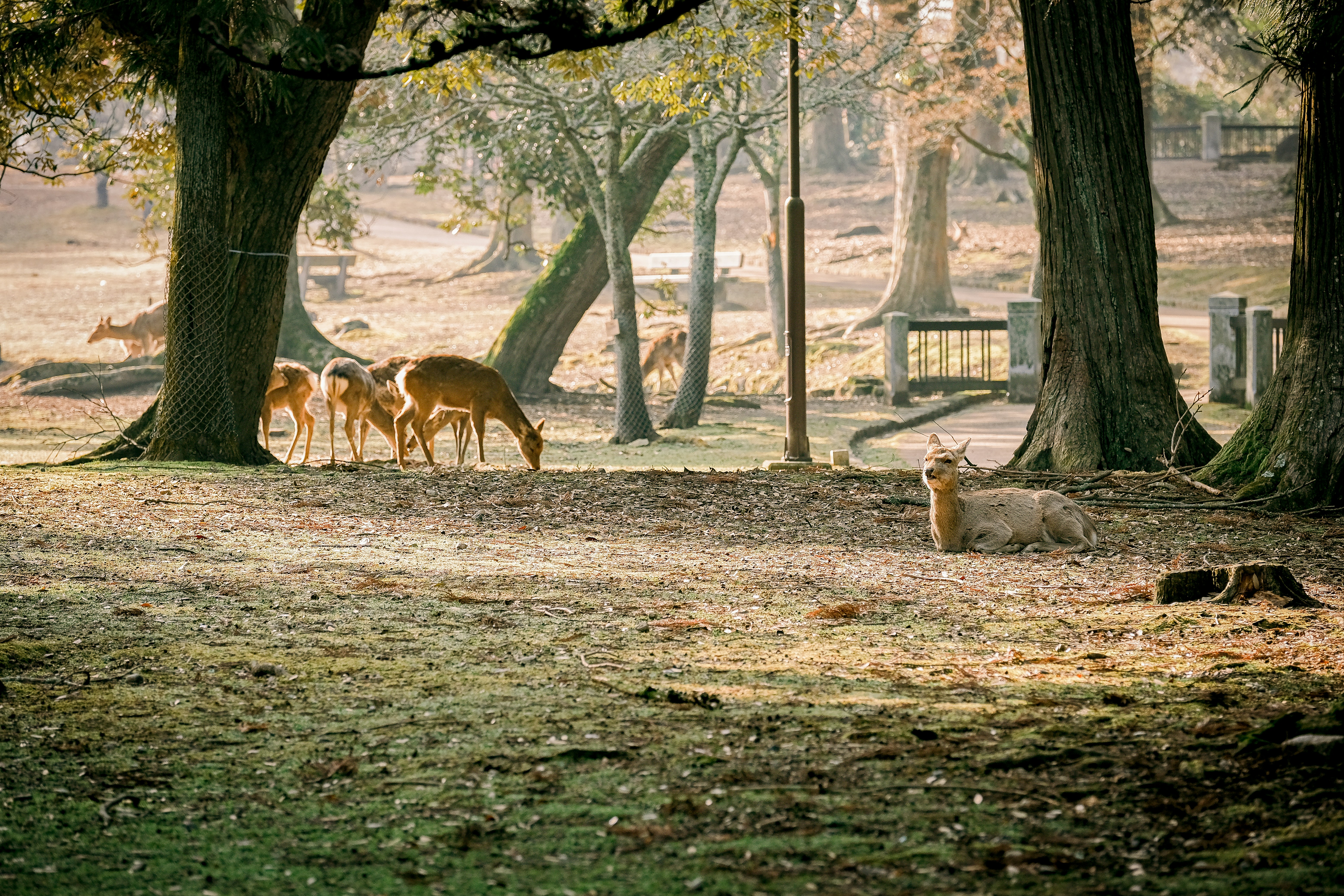 Photo by yamashita0129