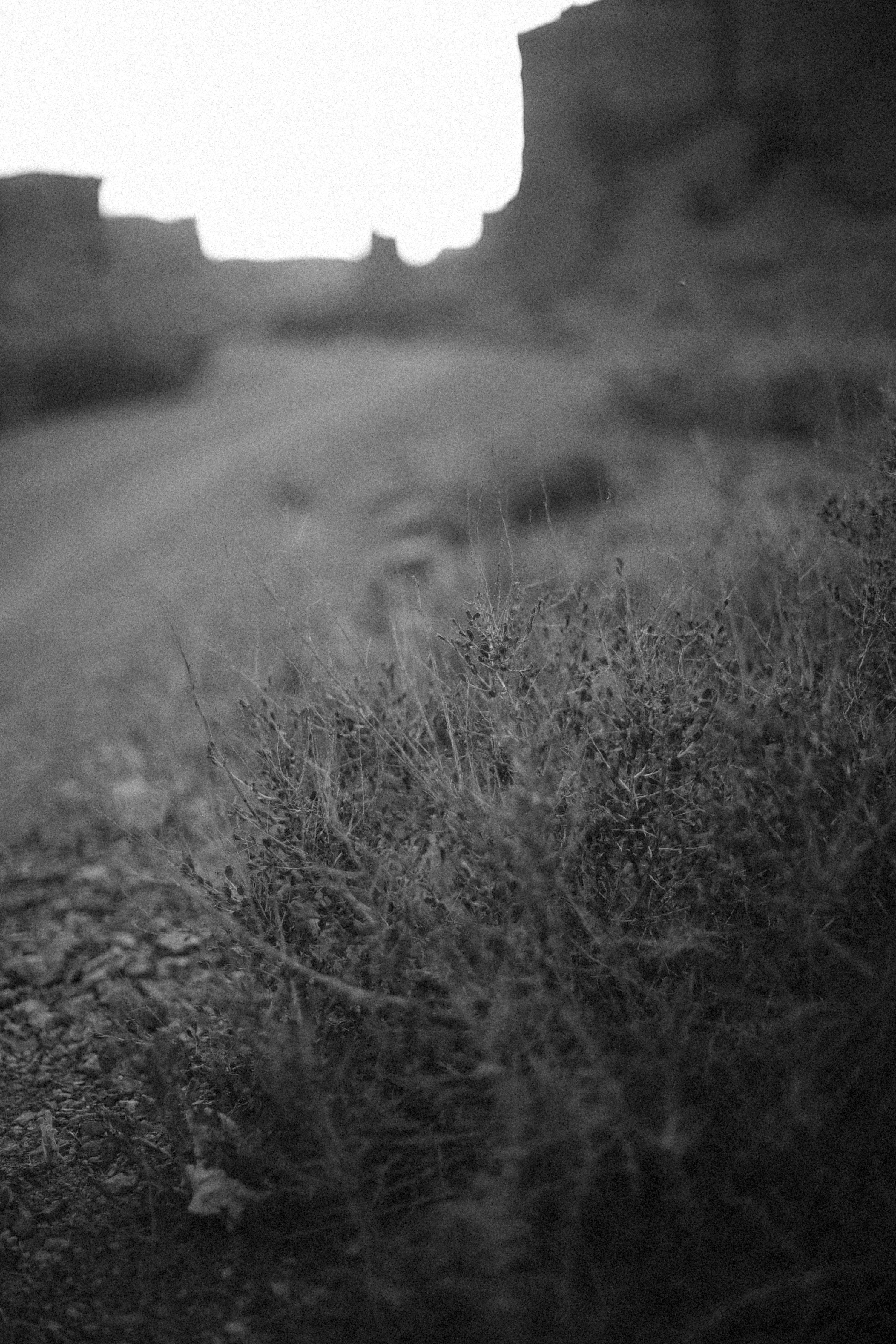 Photo by alexeydemidov