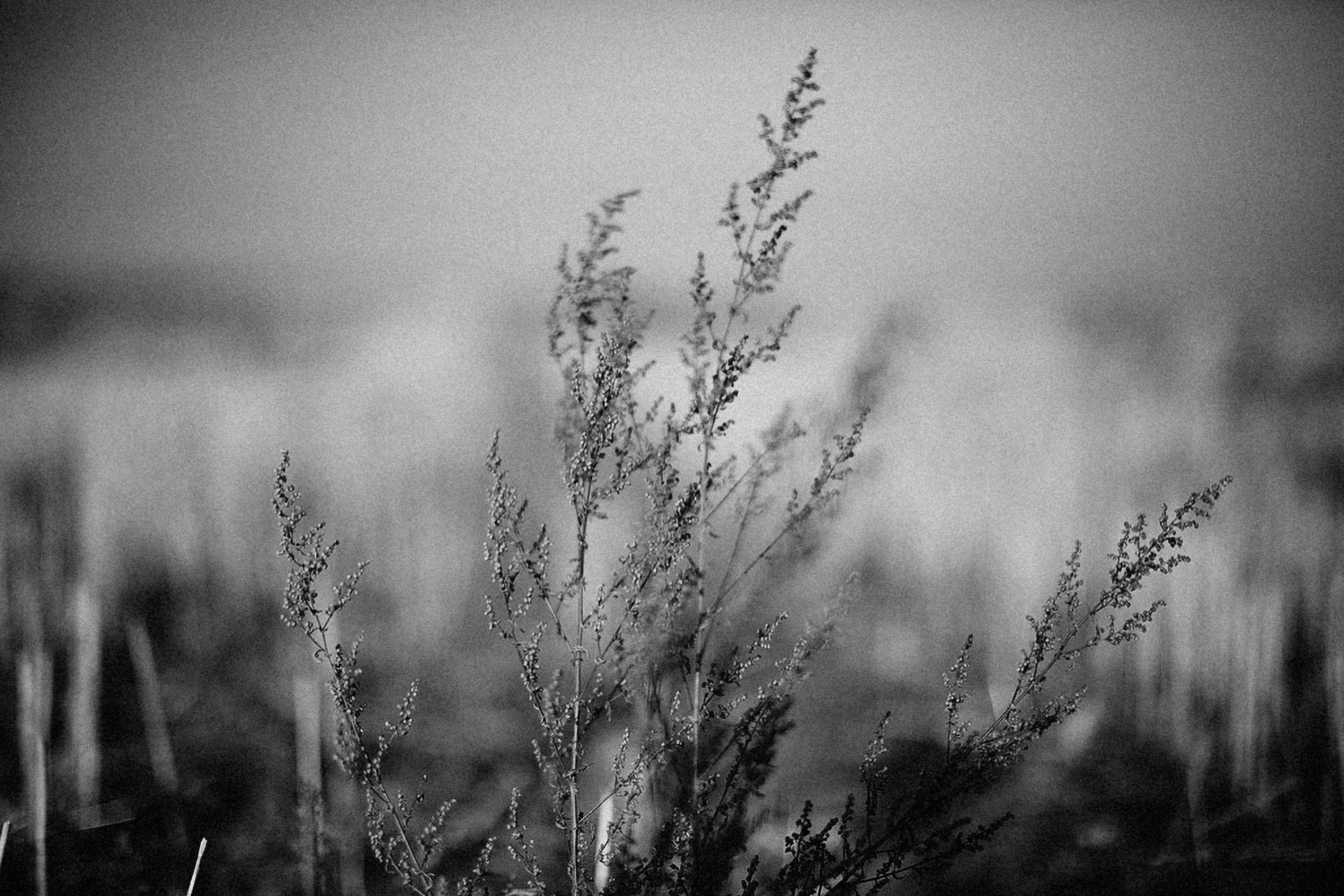 Photo by alexeydemidov