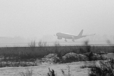 A large passenger airplane is visible in mid-landing on a runway. The weather appears foggy or misty, with limited visibility. In the foreground, there is wire fencing and scattered snow-covered vegetation, suggesting a winter setting.