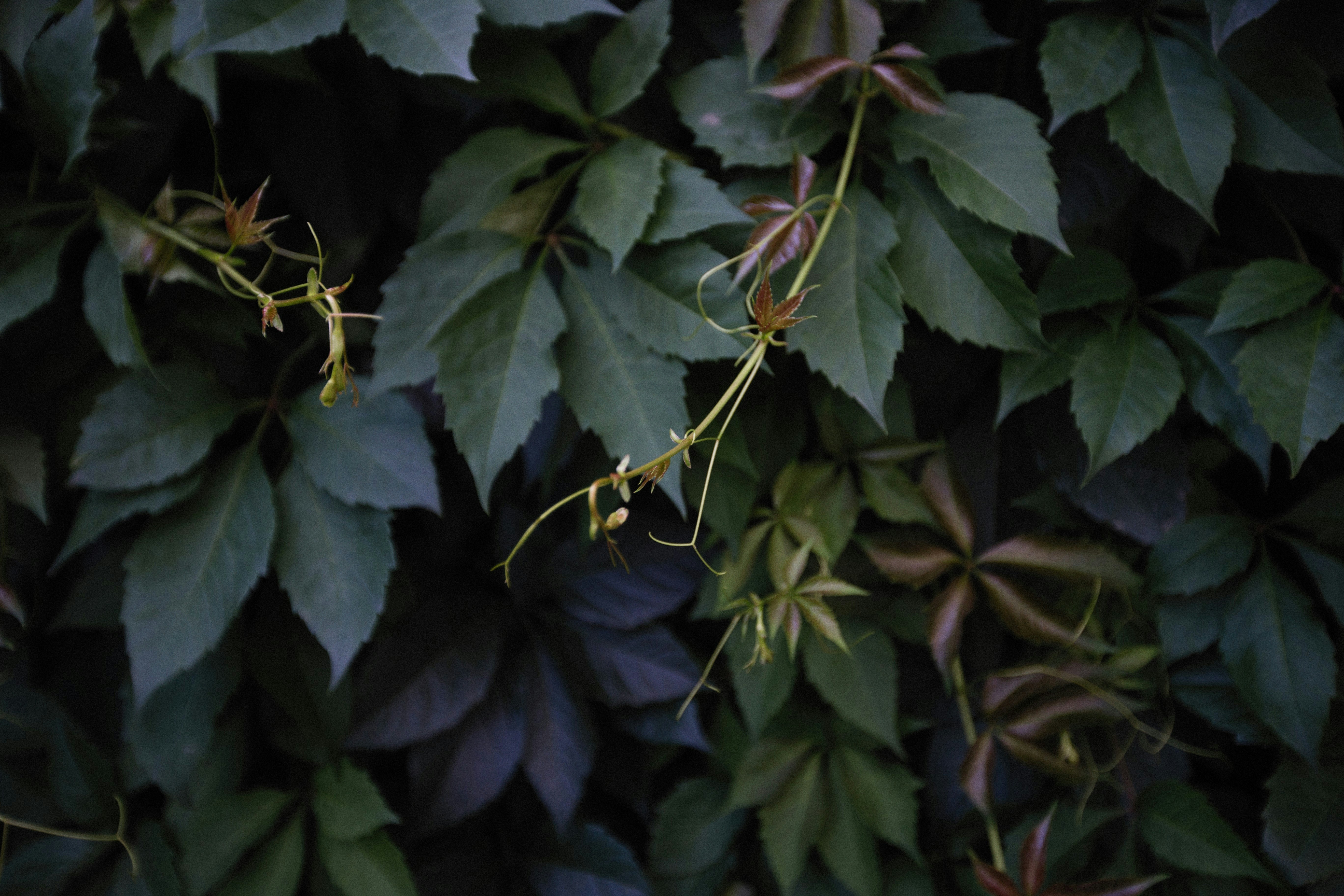 Photo by alexeydemidov