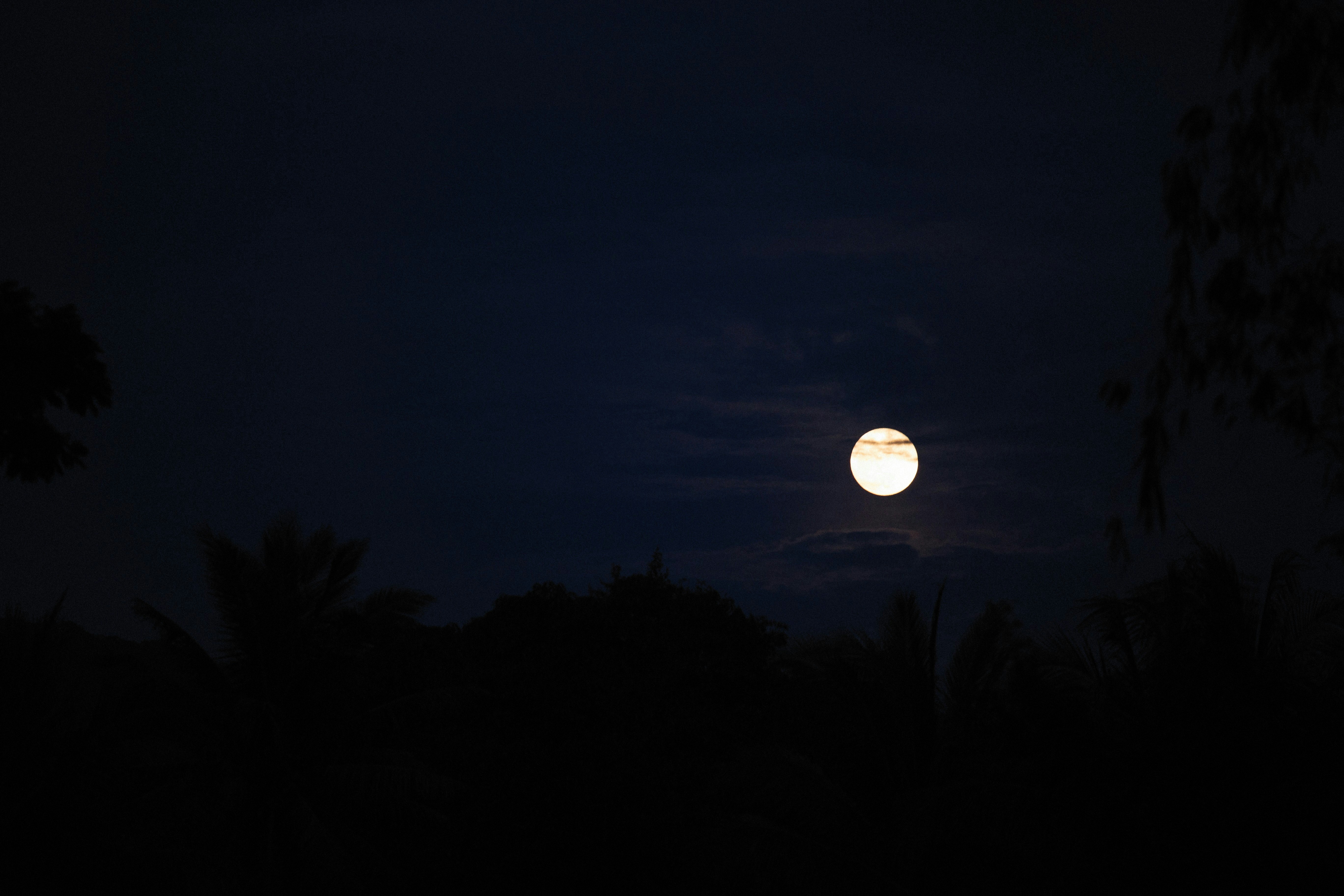 Photo by alexeydemidov