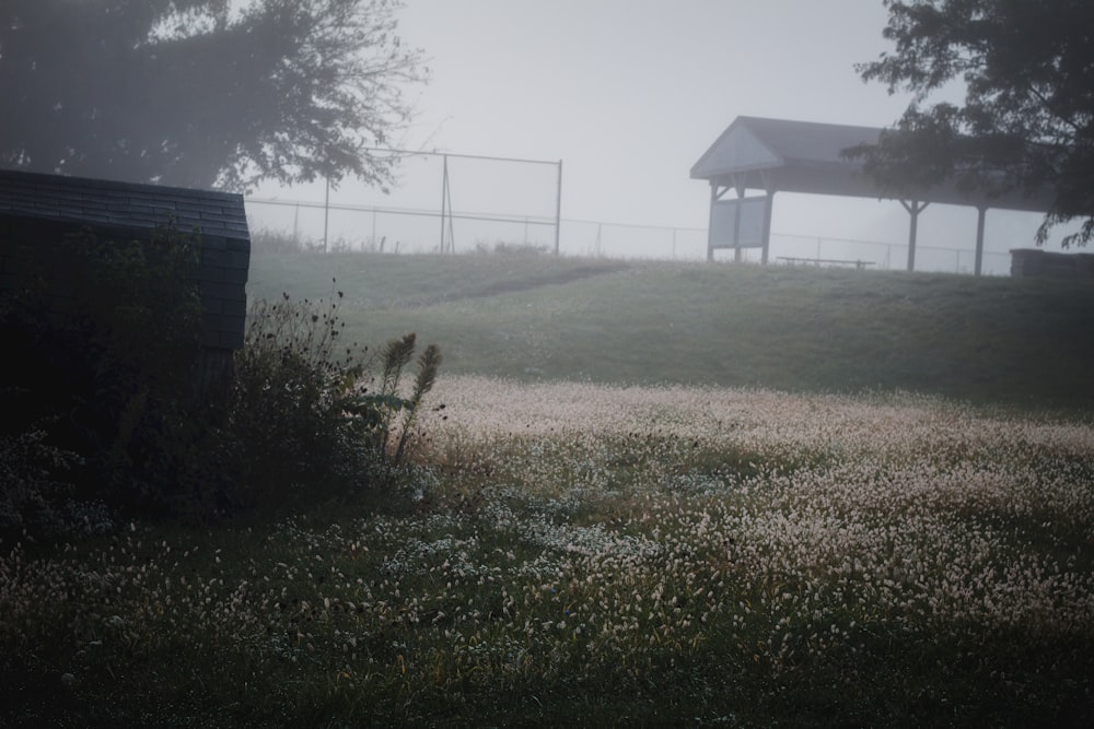 a foggy field with a bench in the foreground