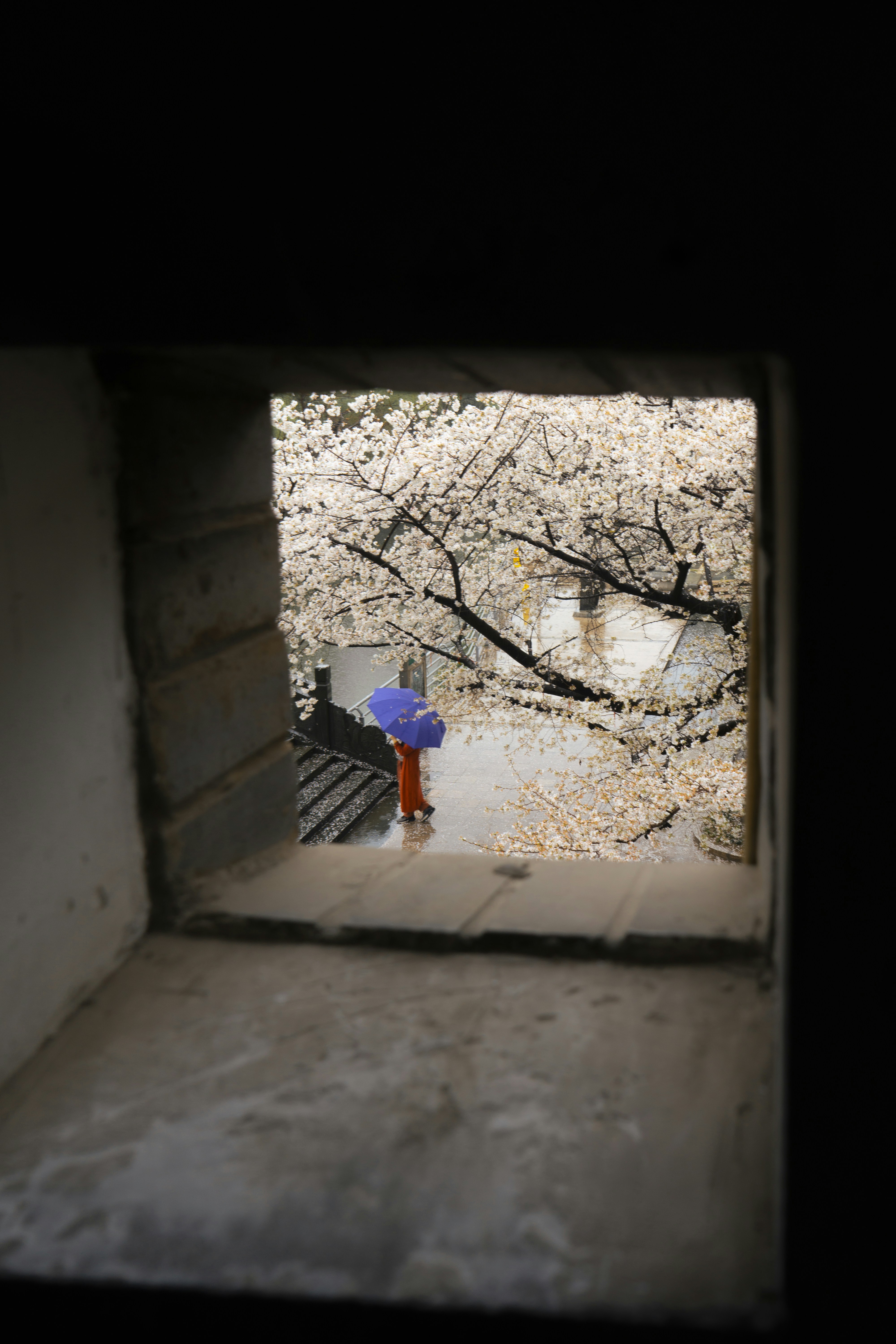 a person with a blue umbrella standing in a doorway