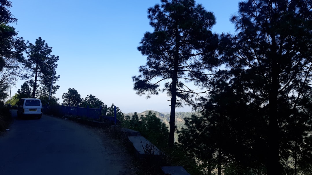 a truck parked on the side of a road next to a forest,