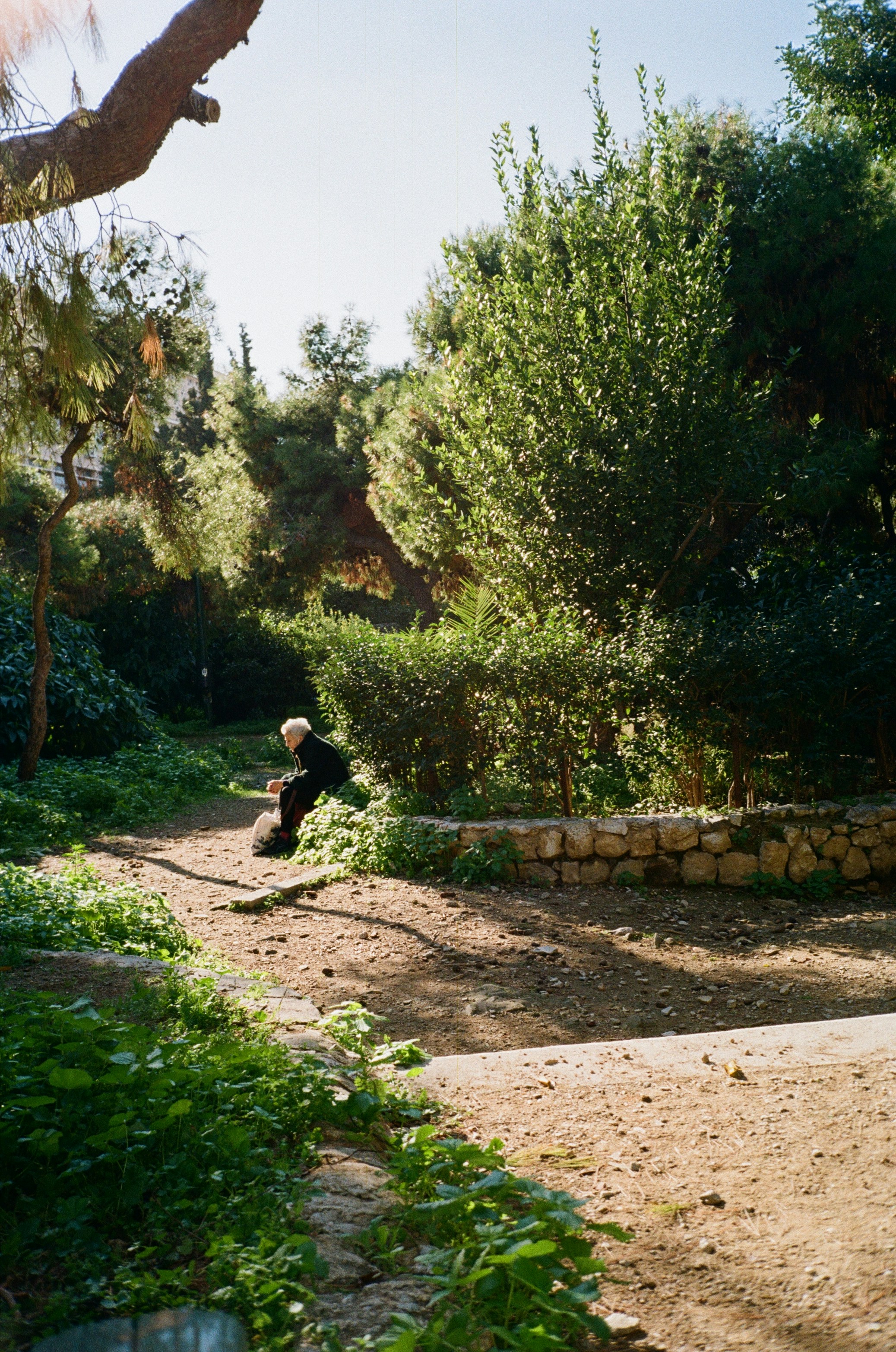 An older adult sits on a stone wall in a park.