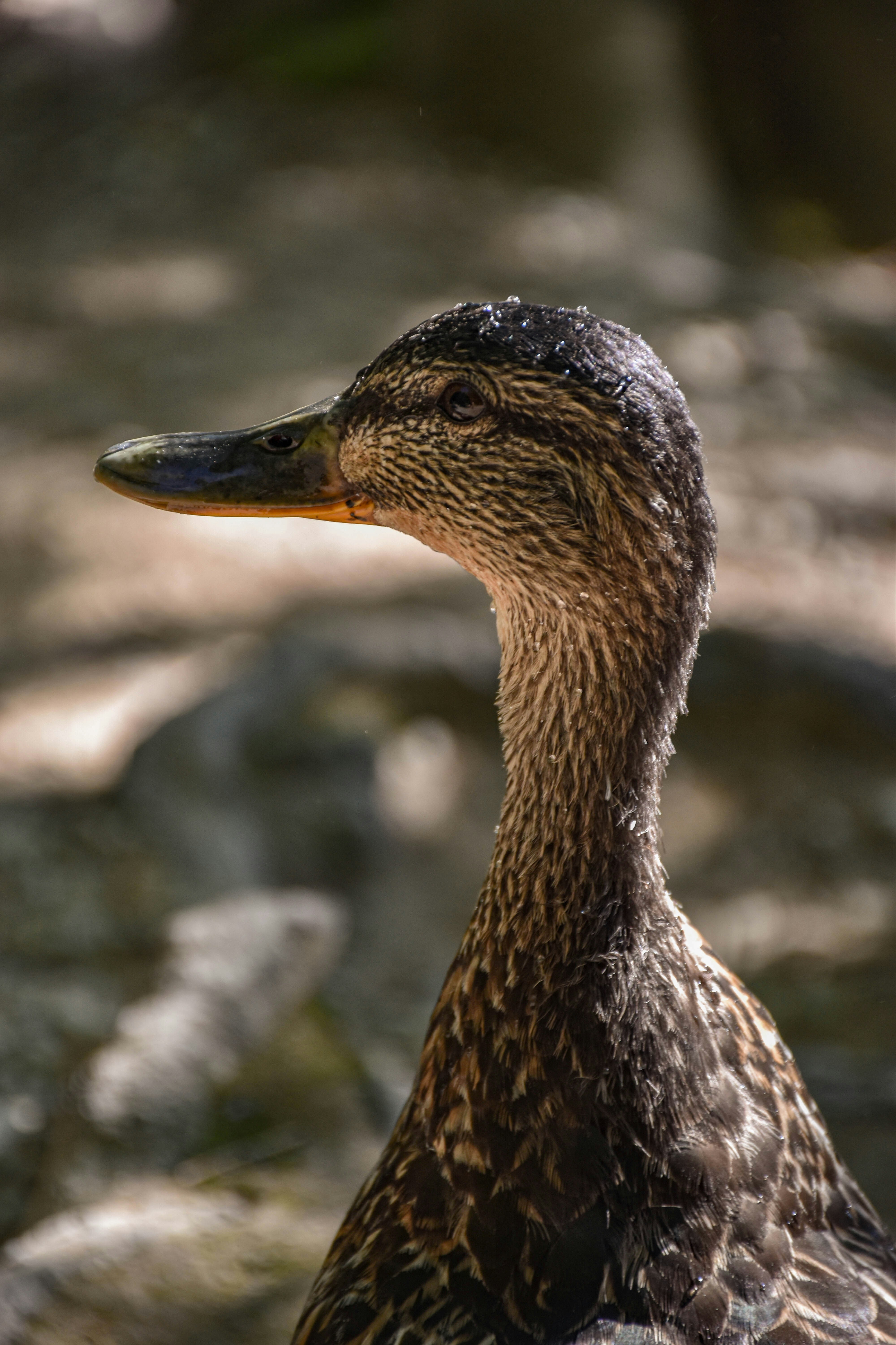 Photo by s_art_media