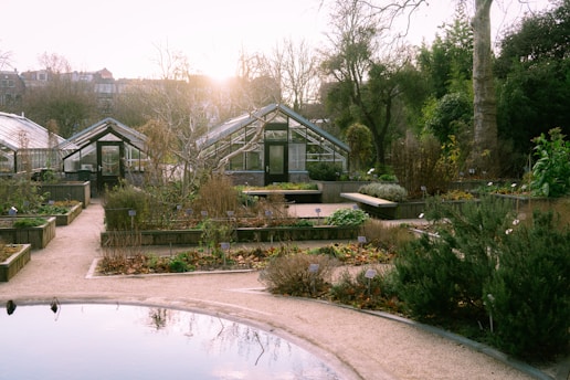A serene garden setting with multiple greenhouses in the background, surrounded by various plants in raised beds. The sunlight casts a warm glow over the scene, and the garden paths are neatly paved with gravel. Trees and bushes add a sense of lushness, and a small pond is in the foreground reflecting the sky.
