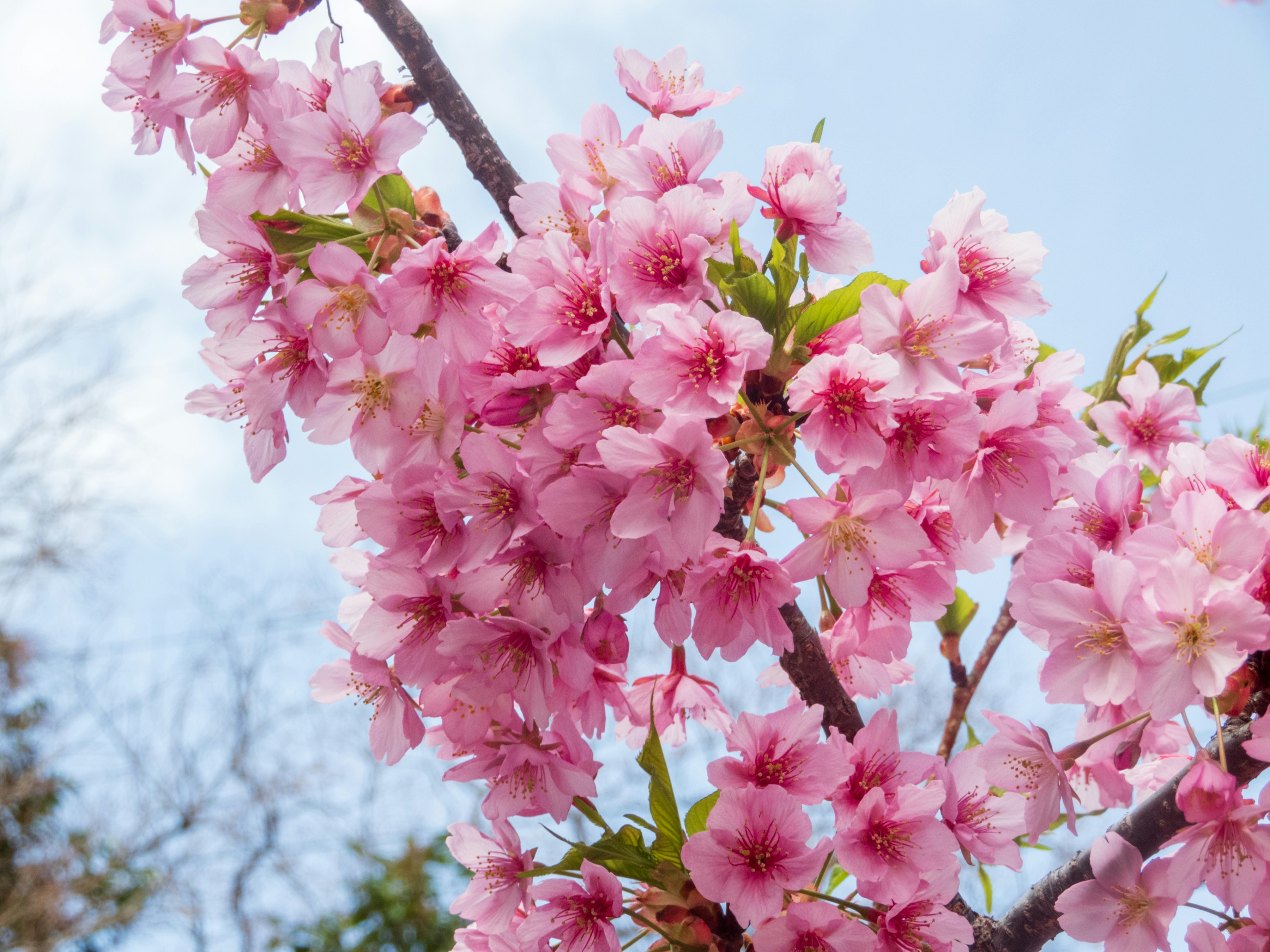 Photo by heppoko_yama