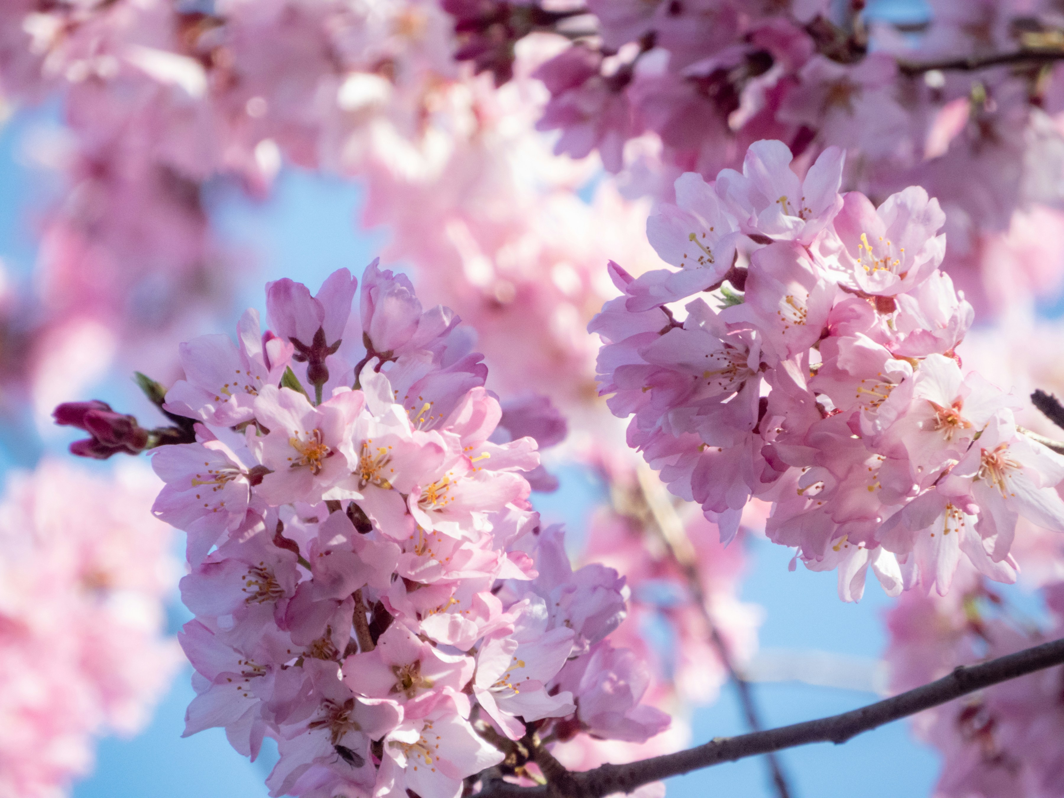 Photo by heppoko_yama