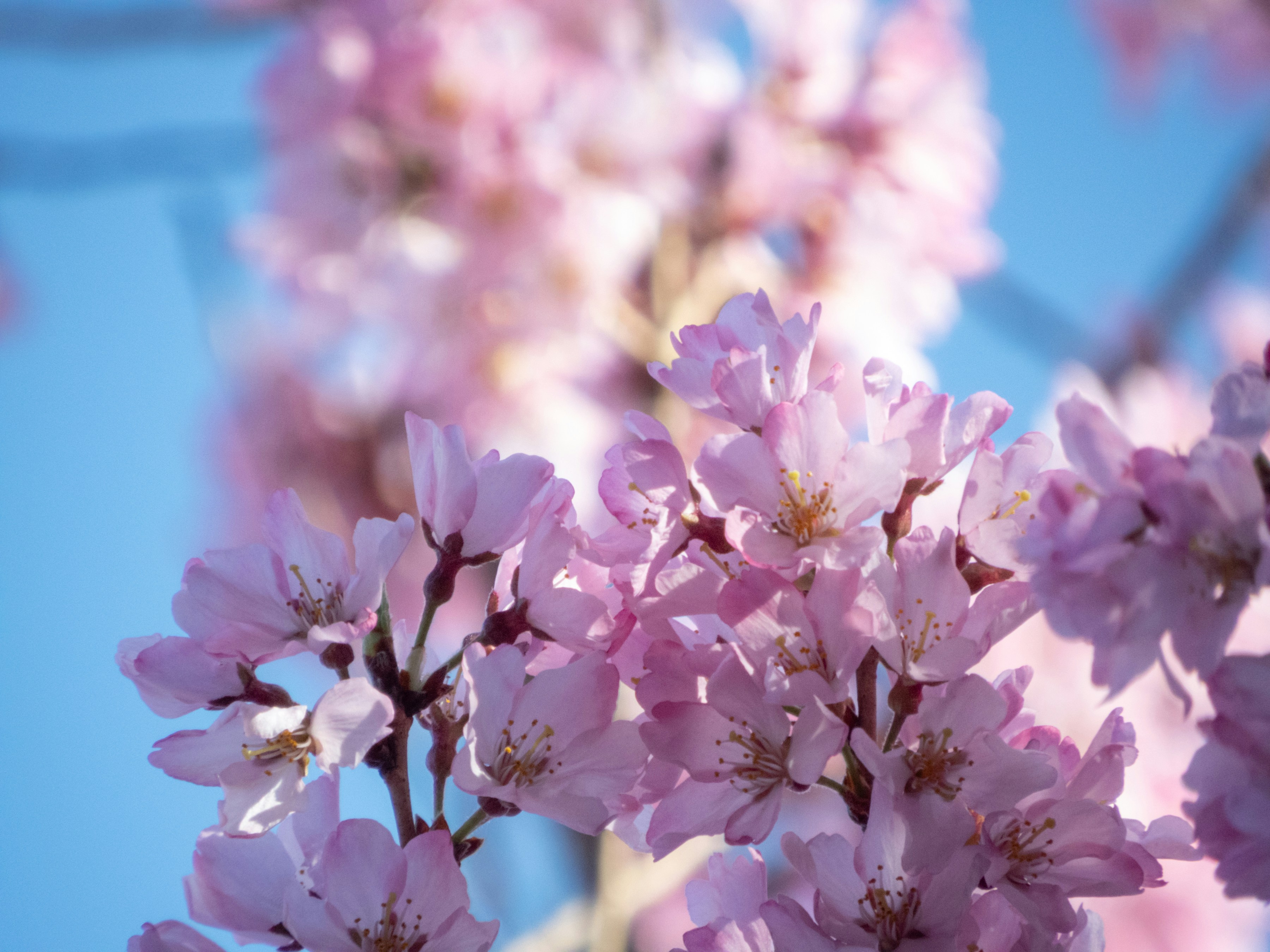 Photo by heppoko_yama