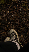 Close-up of worn running shoes resting on a trail surrounded by soft green foliage.