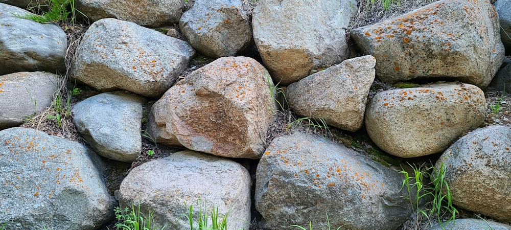 a pile of rocks with grass growing between them