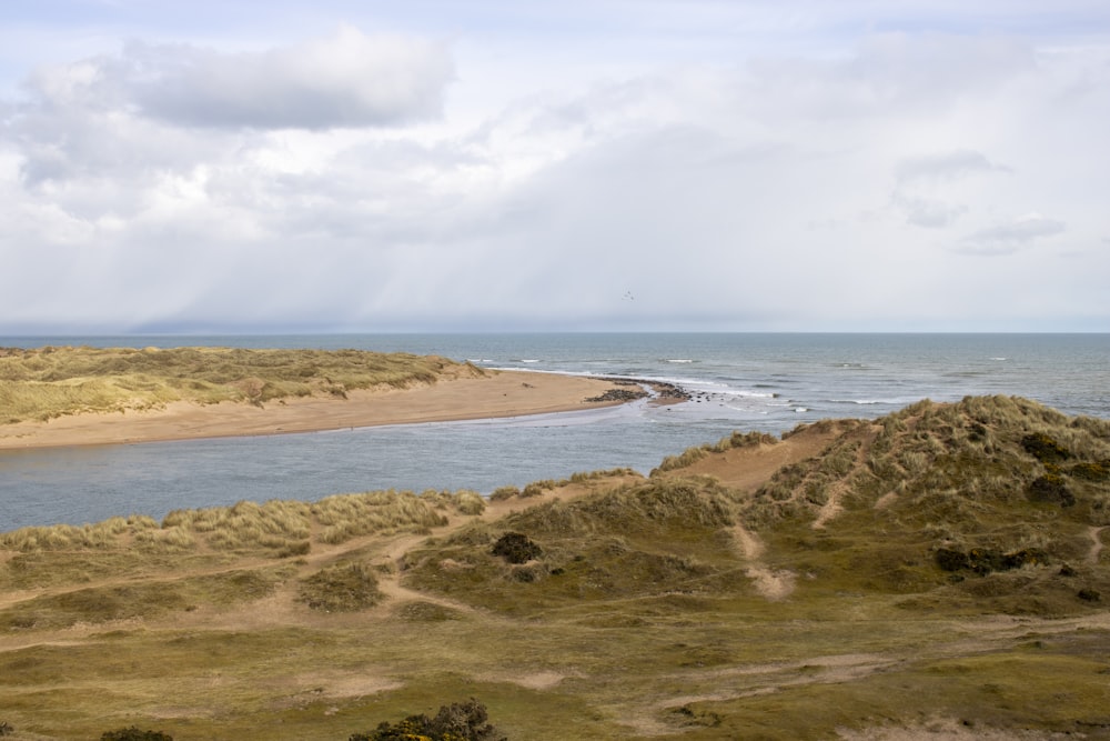 a body of water sitting next to a sandy beach