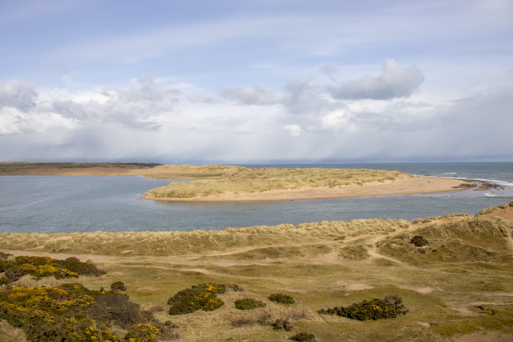 a large body of water surrounded by grass
