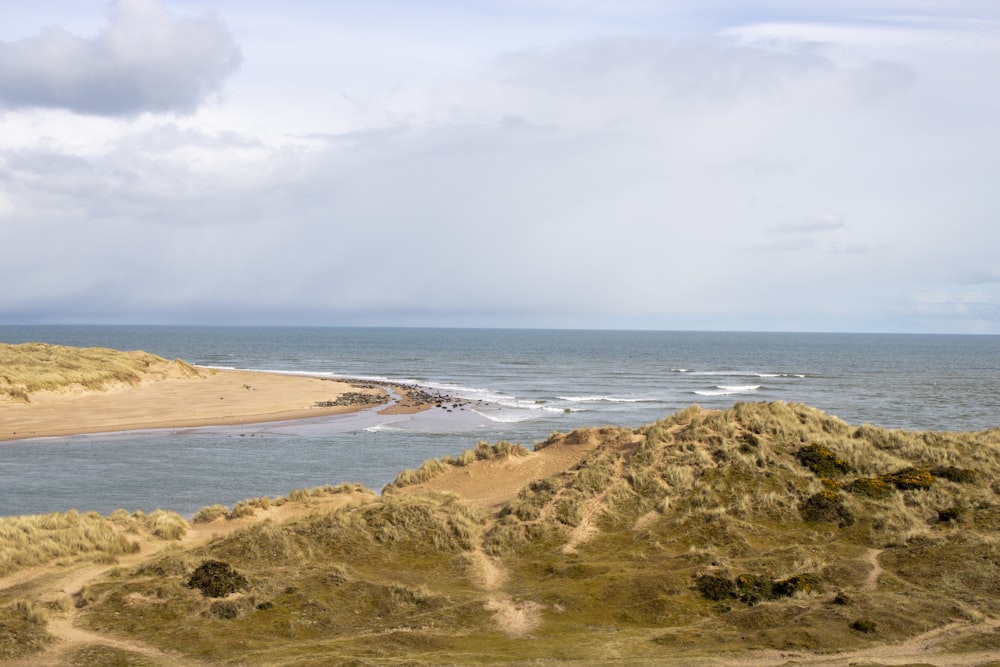 a view of the ocean from the top of a hill