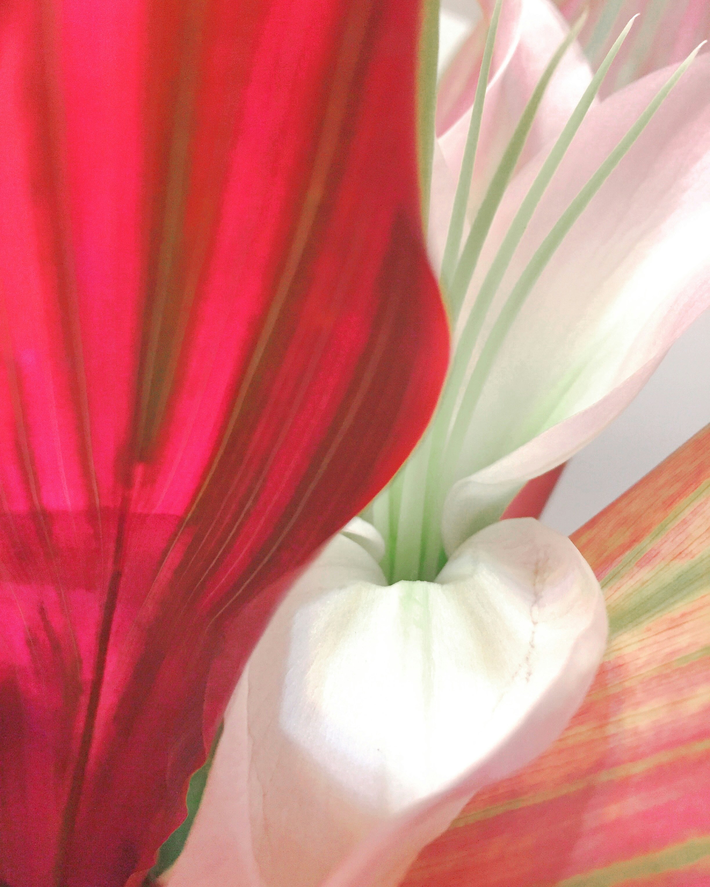 Photo by helgaethomas