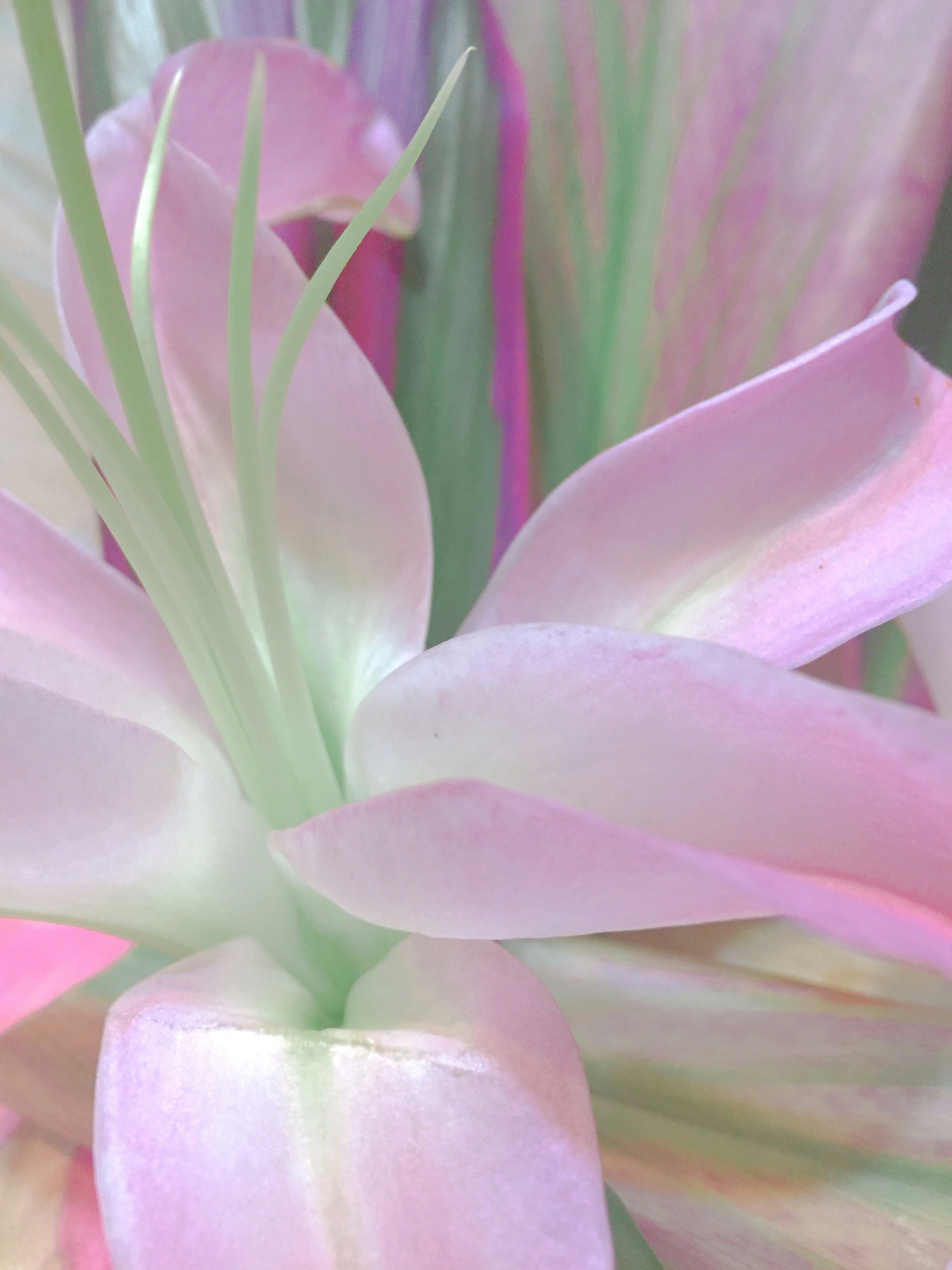 Photo by helgaethomas