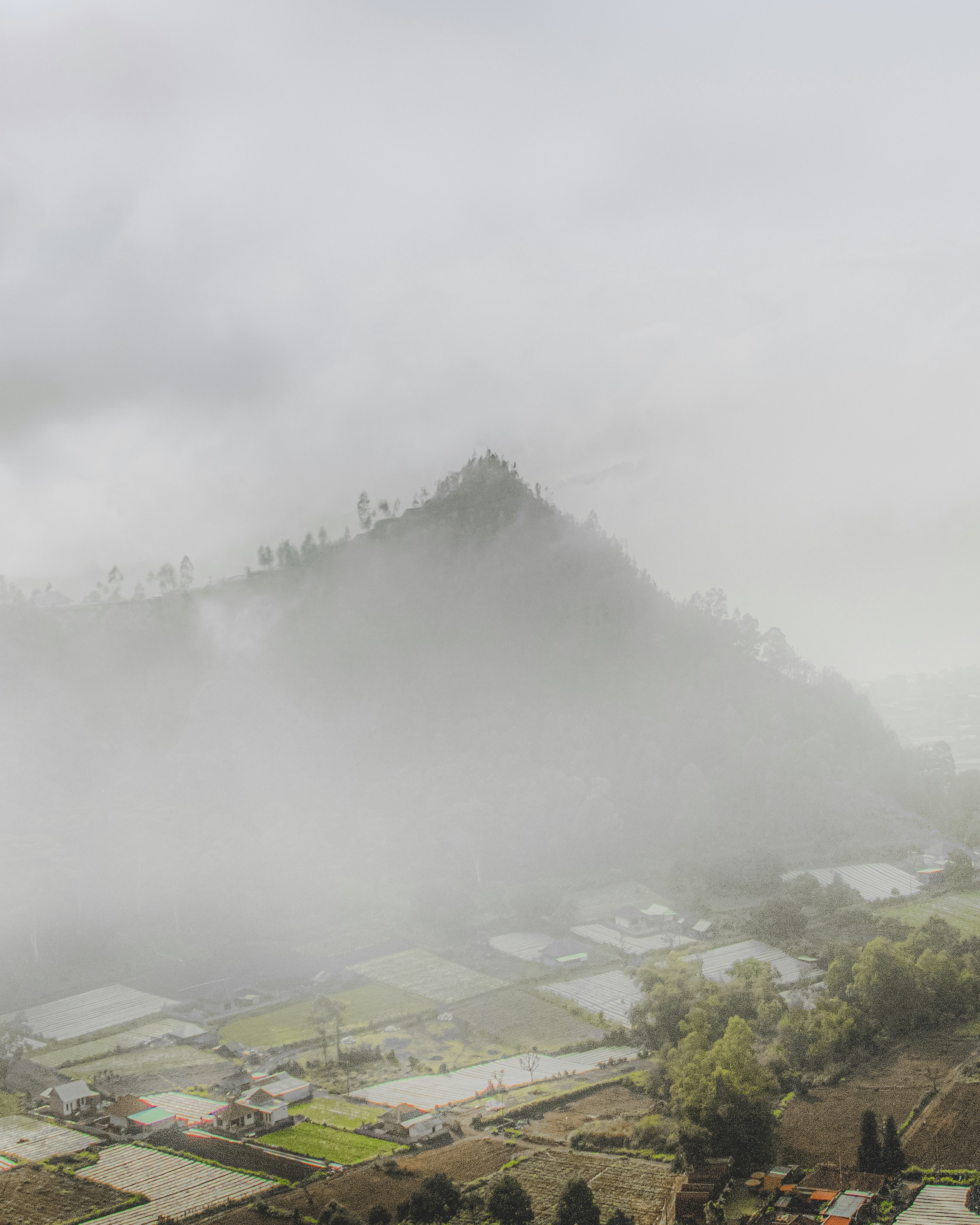 Photo by aryakrisdyantara