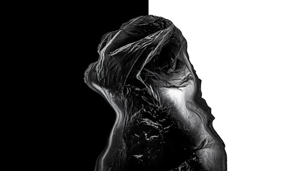 A dark, textured object with fluid, flowing lines appears against a split background of black and white. The object's surface suggests a fibrous or fabric-like quality, with light and shadow creating dramatic depth.