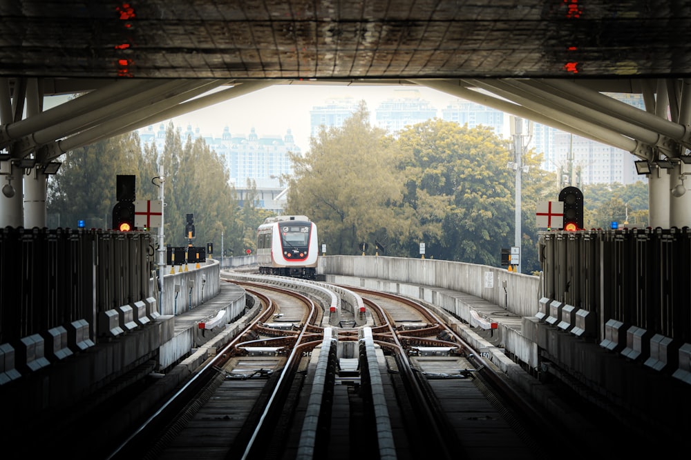 a train traveling down train tracks under a bridge