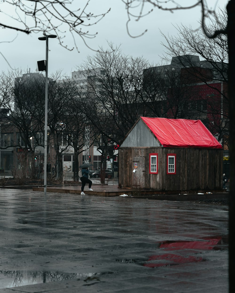 a house with trees in the rain