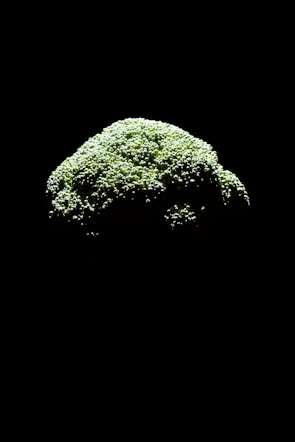 A head of broccoli is illuminated, standing out against a completely black background. The texture of the broccoli florets is detailed, emphasizing the green color and intricate patterns.